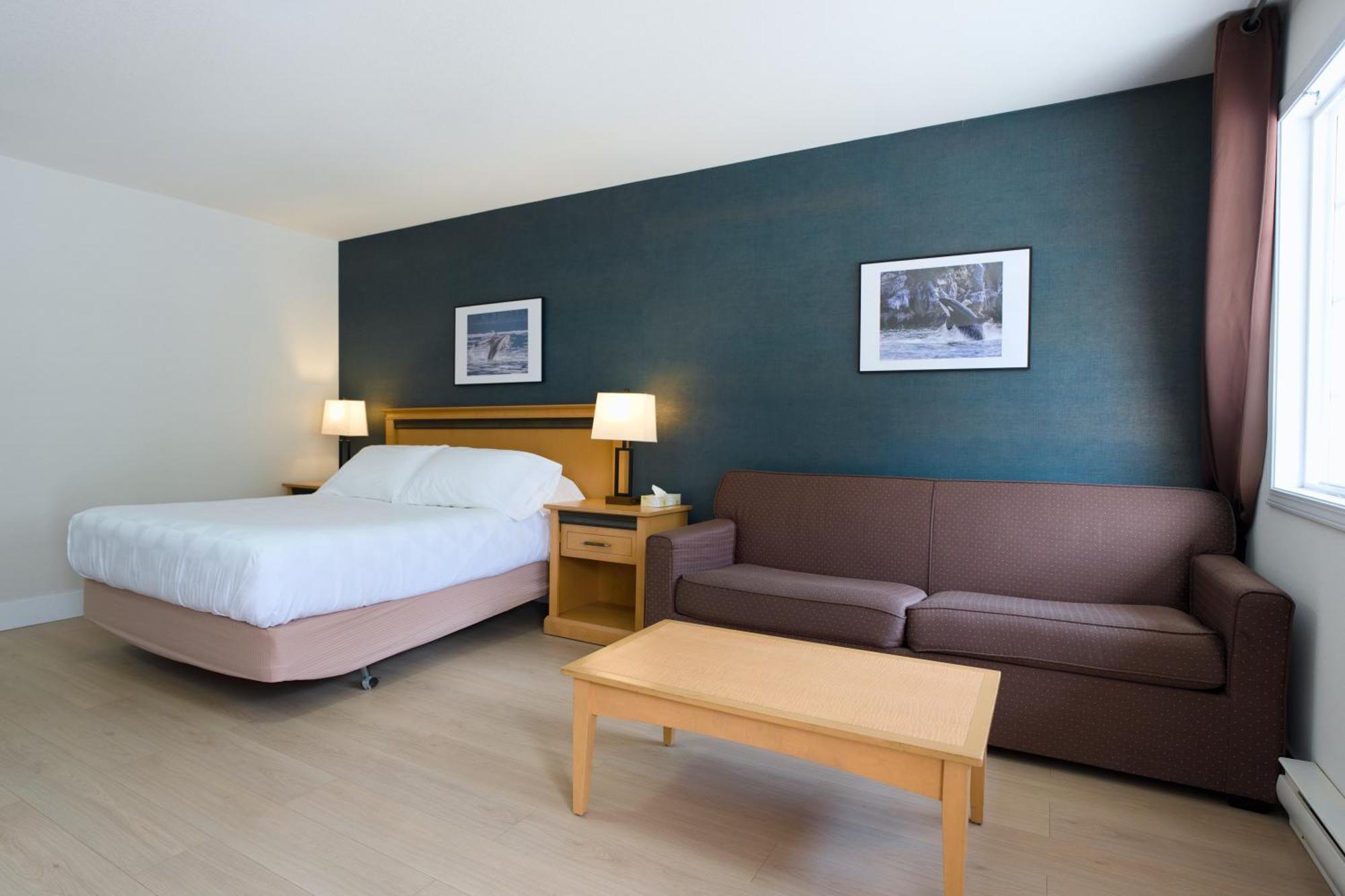 Deluxe Queen Room - Ground Floor