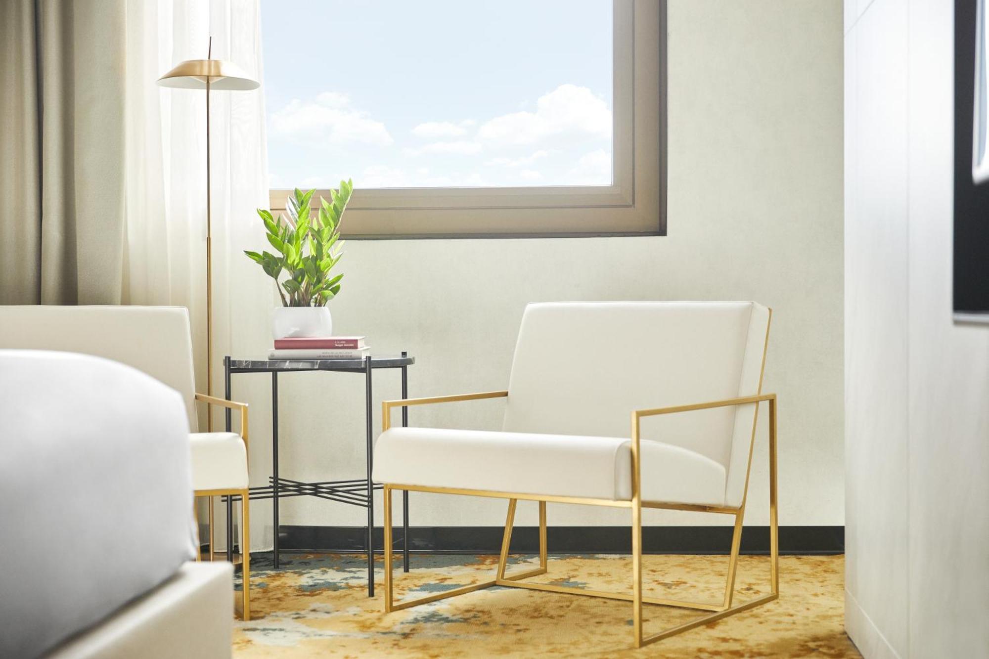 Suite Estudio con cama extragrande