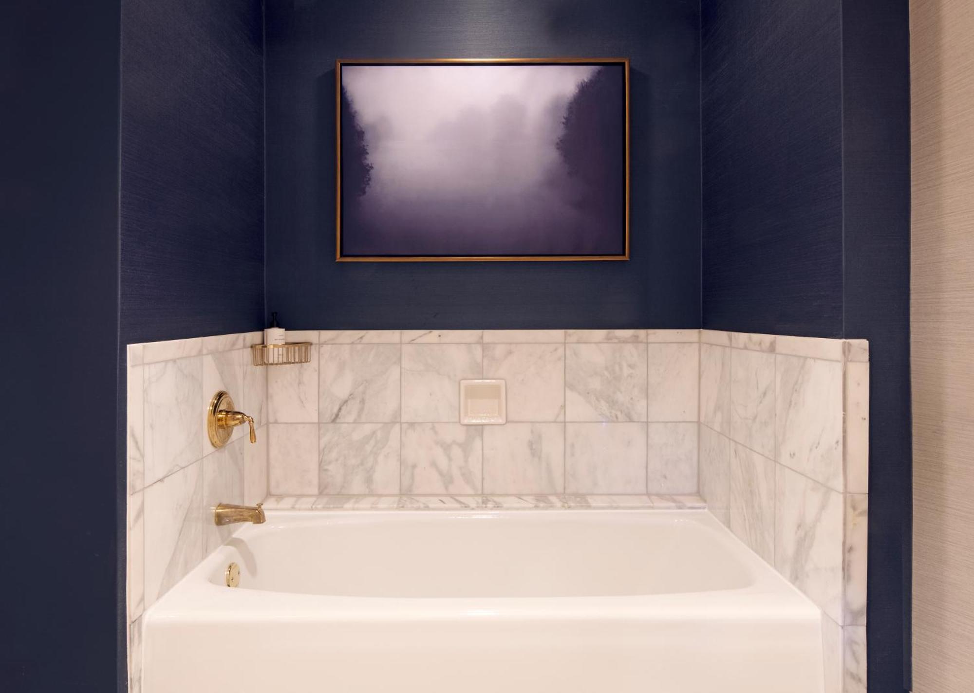 Oval Queen Suite Washington Monument View