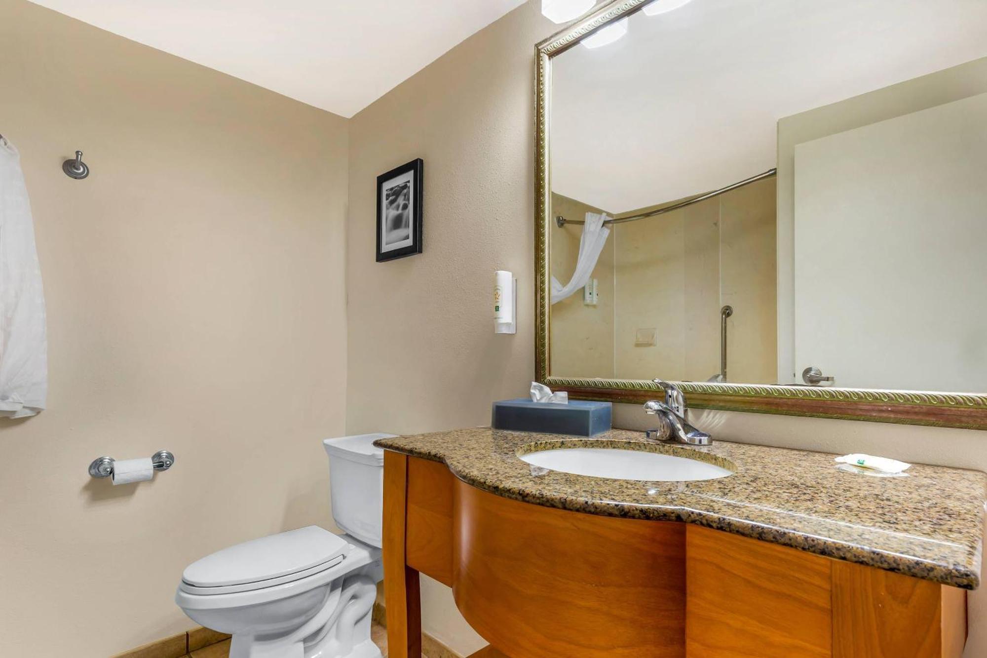 Standard King Room - Non-Smoking