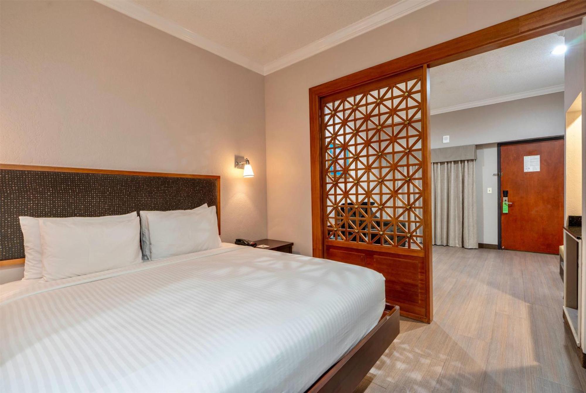 Suite con cama extragrande - No fumadores