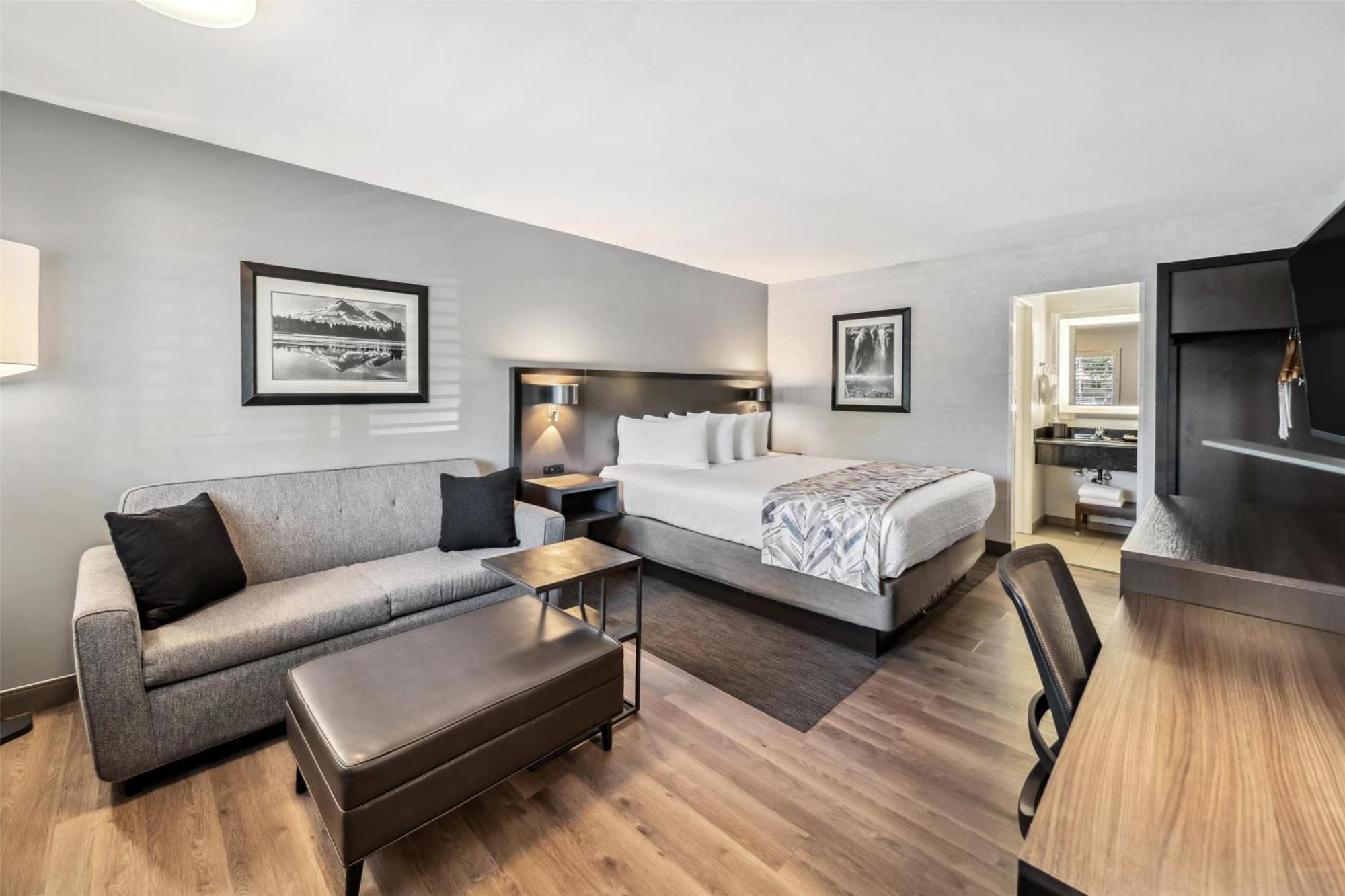 Executive King Room Sofa Bed Pet Friendly or Non-Smoking
