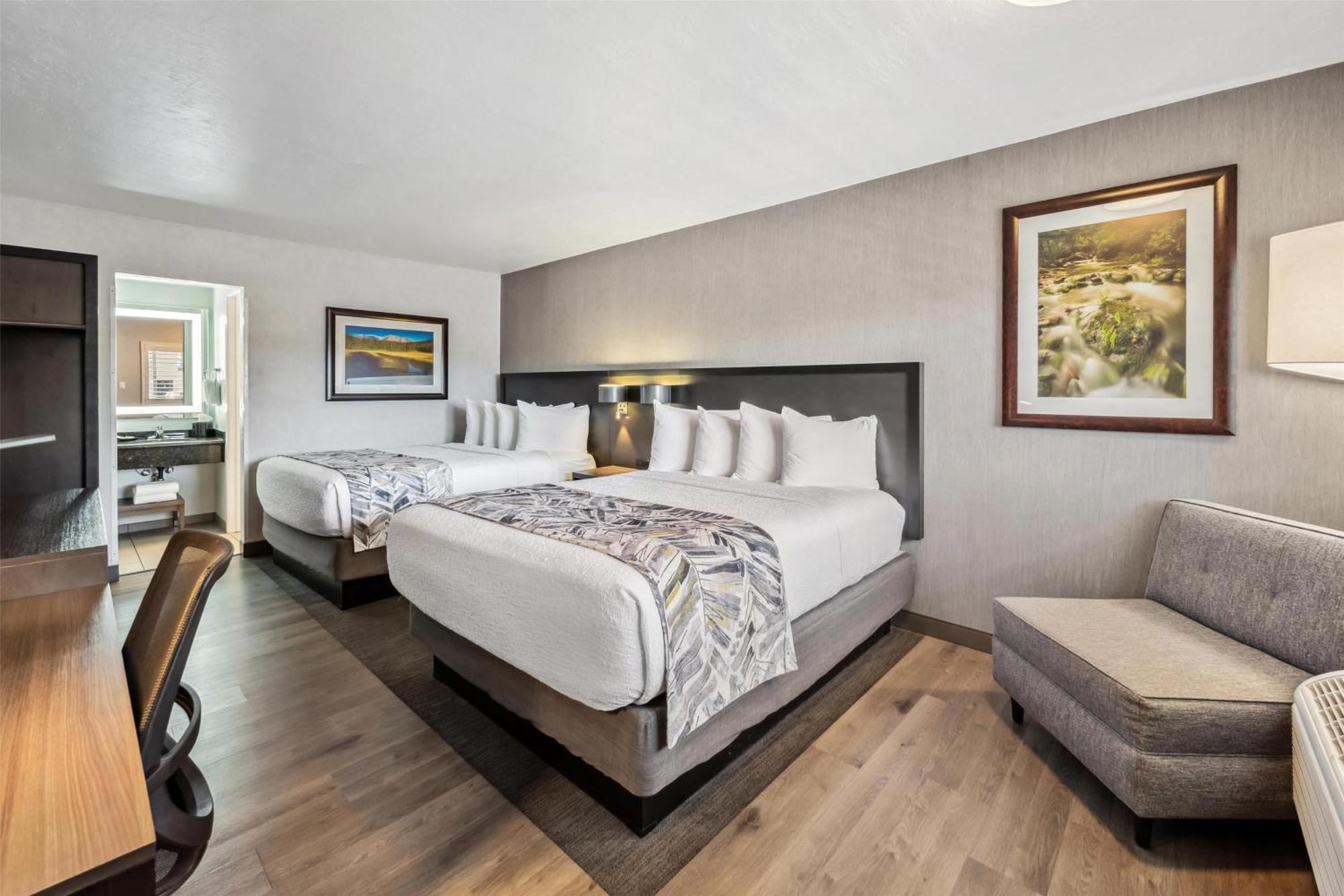 Executive Queen Room Two Queen Beds Pet Friendly or Non-Smoking