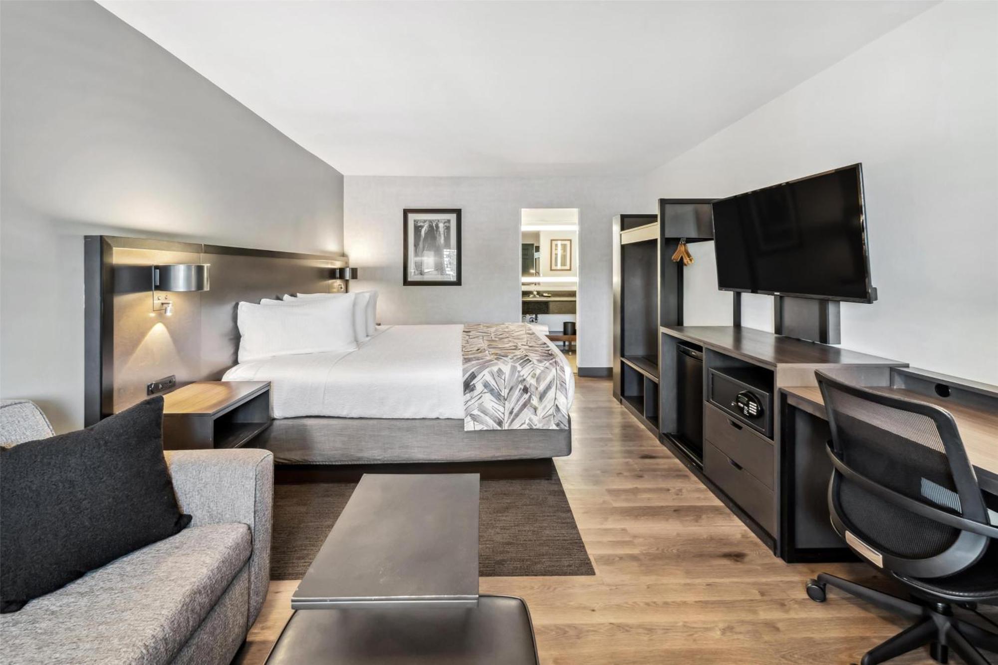 Executive King Room Sofa Bed Pet Friendly or Non-Smoking