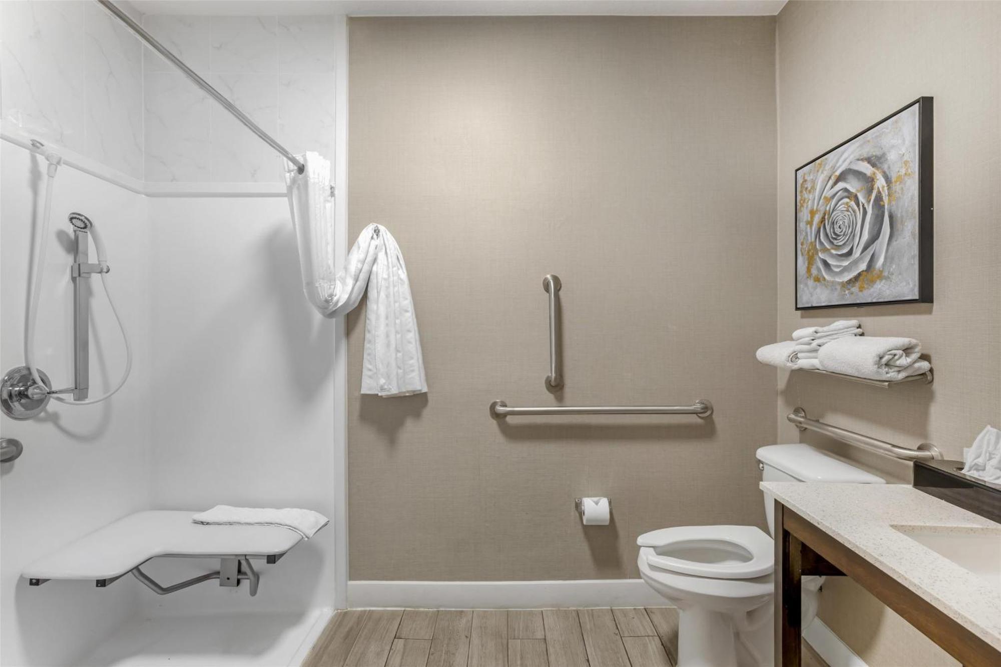 King Room with Roll-In Shower - Mobility Accessible/Pet Friendly