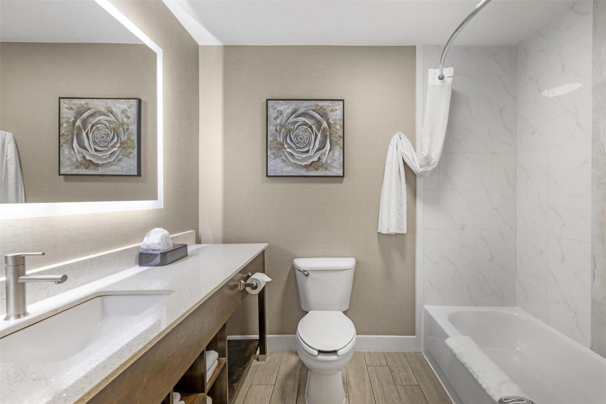 King Suite with Sofa Bed