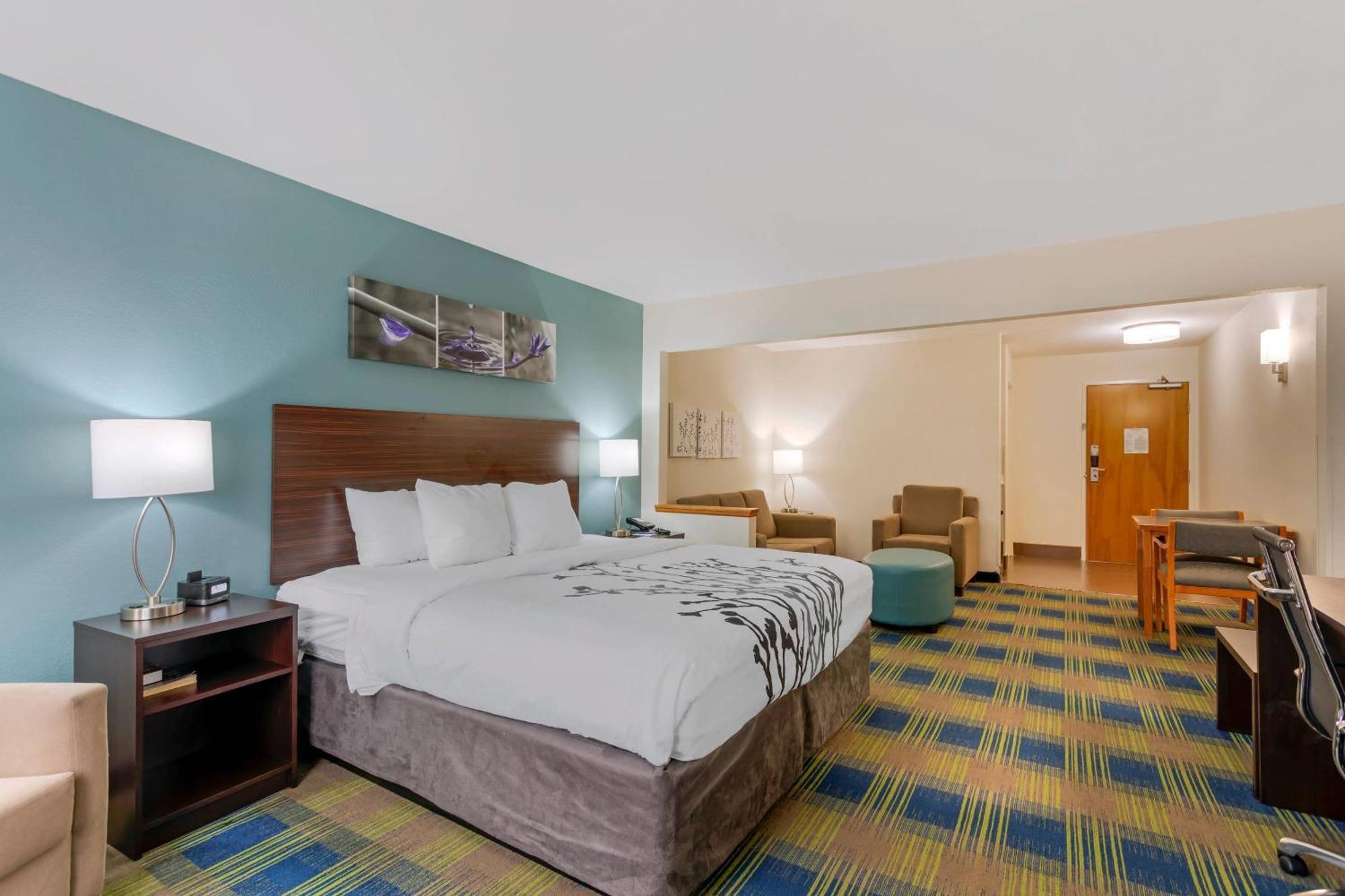 King Suite with Sofa Bed - Non-Smoking