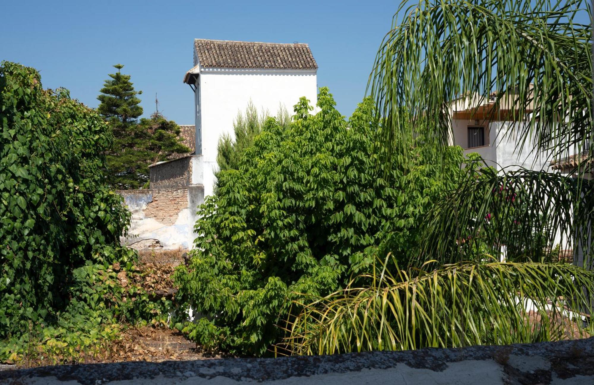 Studio Garden View