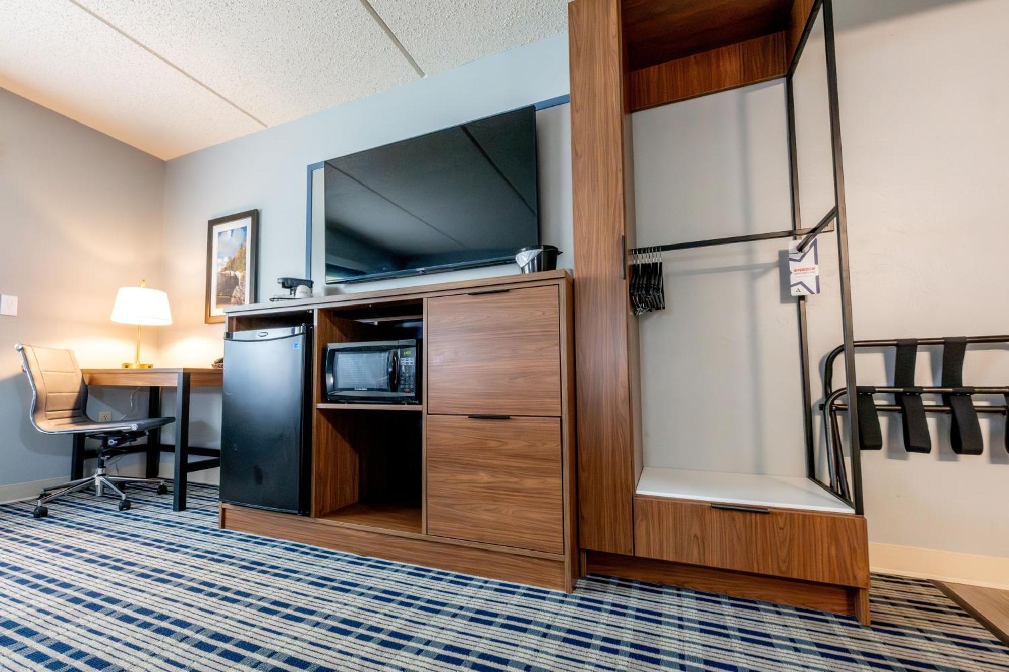 Deluxe King Suite - Non-Smoking