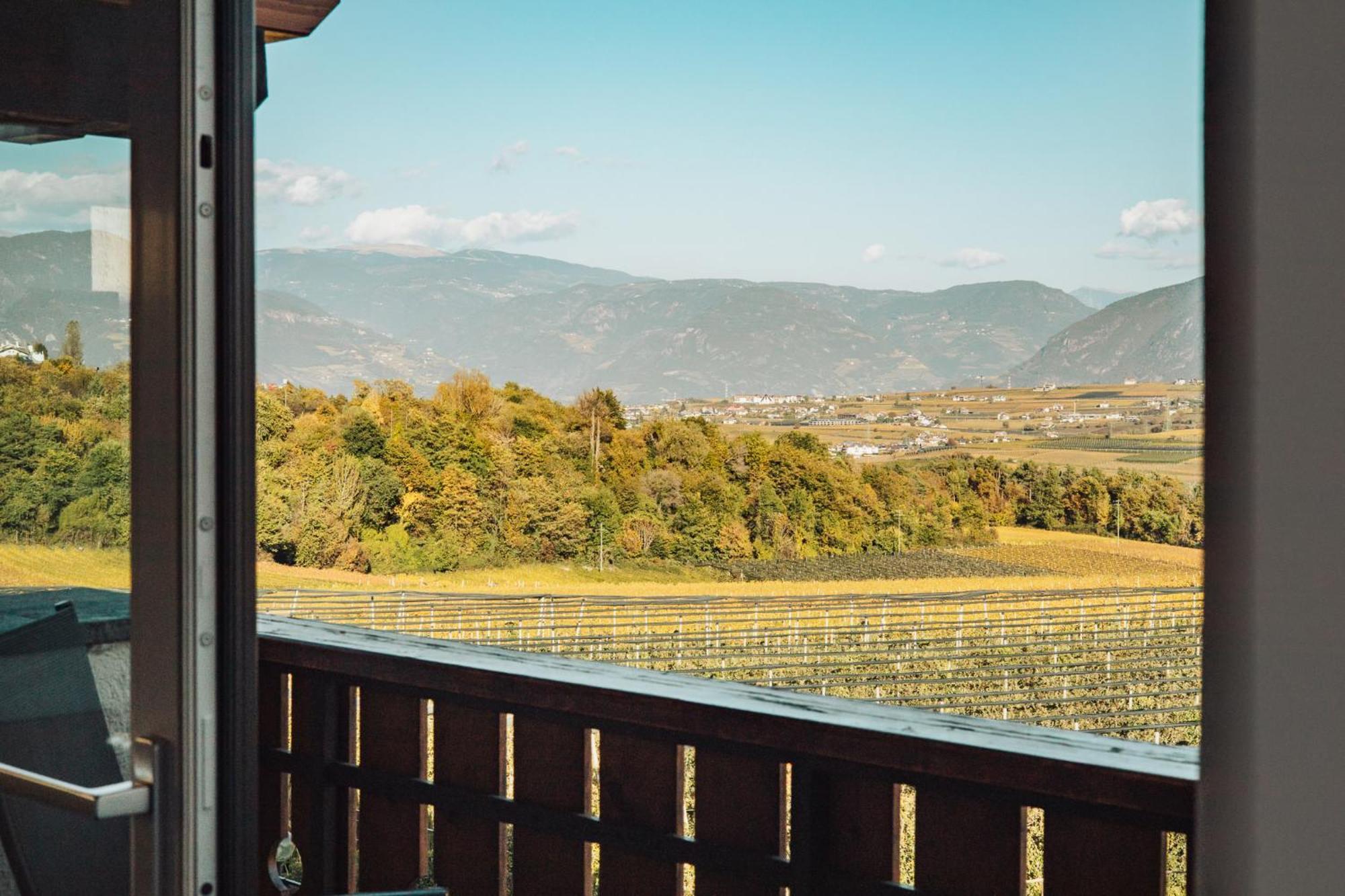 Double Room Mountain View