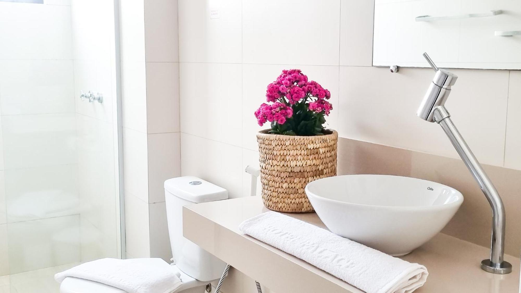 Solarium Suite