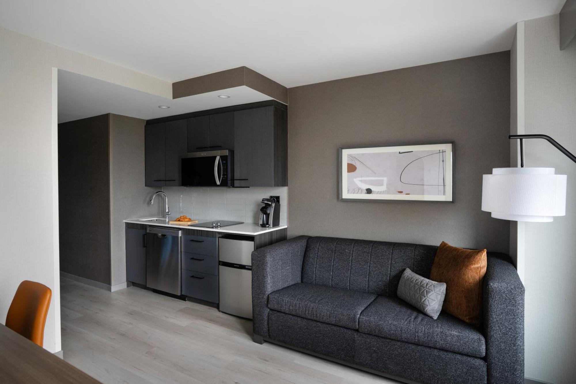 King Den Room Sofa Bed Kitchenette