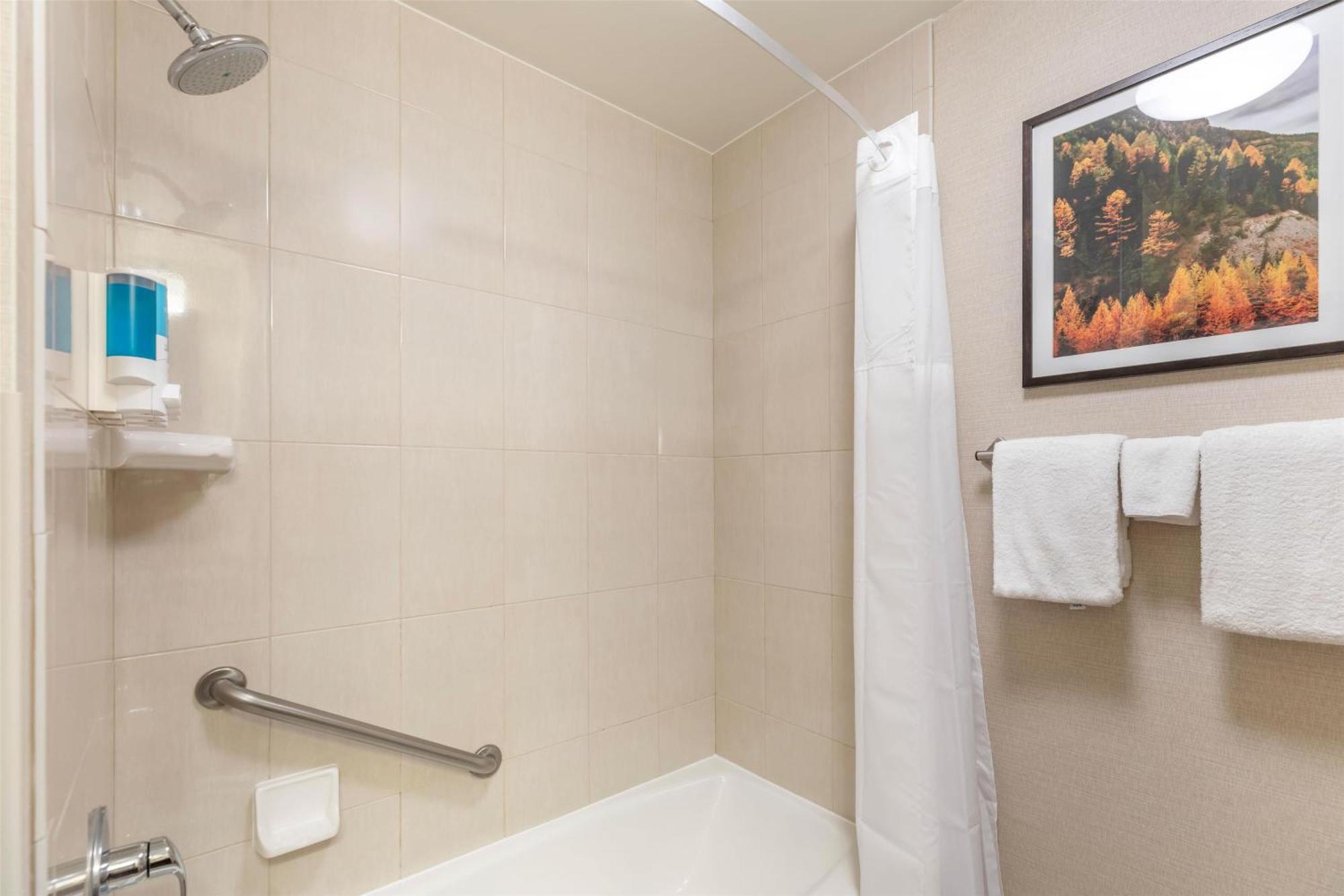 Habitación Deluxe con 2 camas grandes