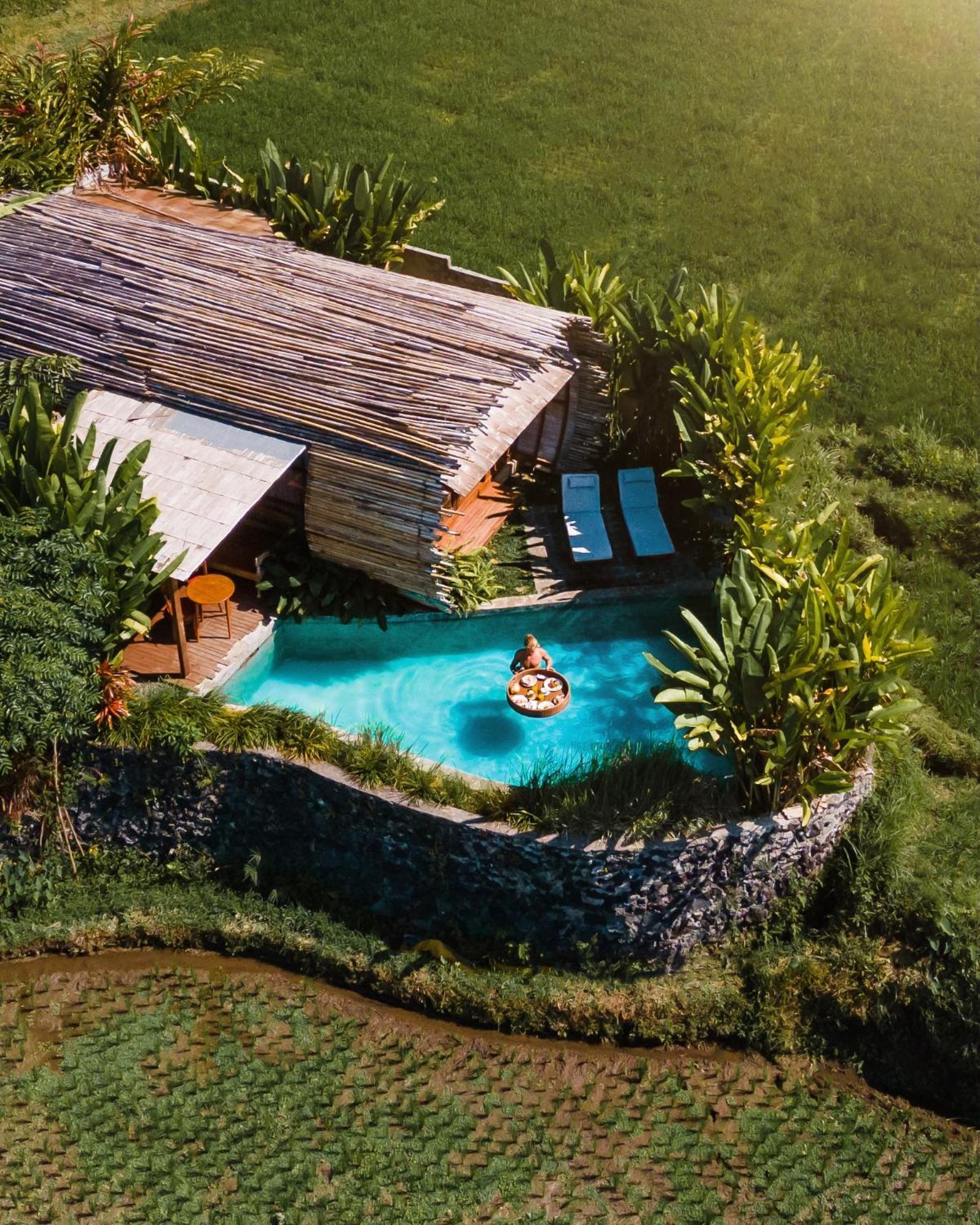 Villa Private Pool Exclusive Rice Field View