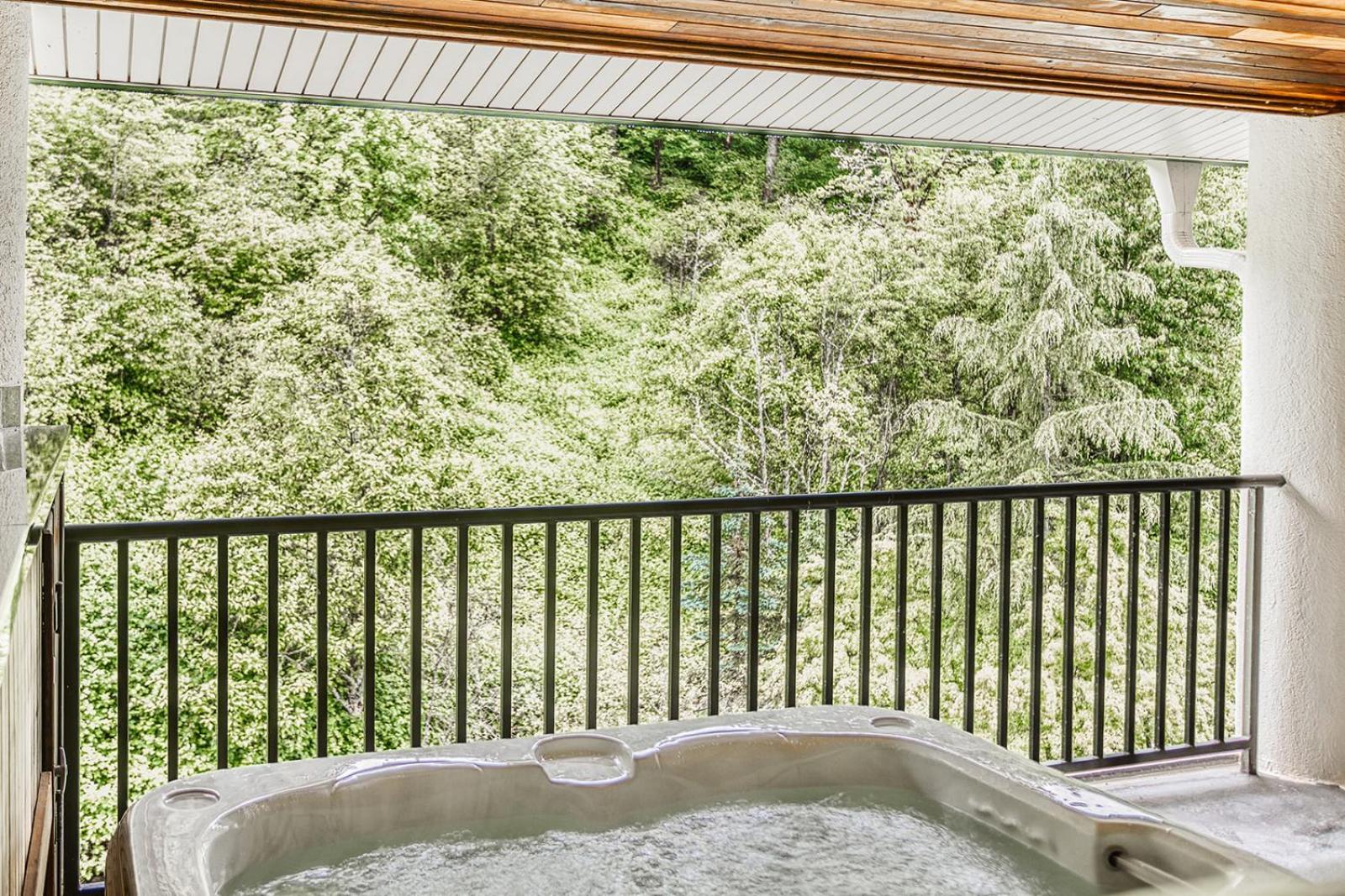 Two bedroom Mineral Hot Tub Suite Forest View