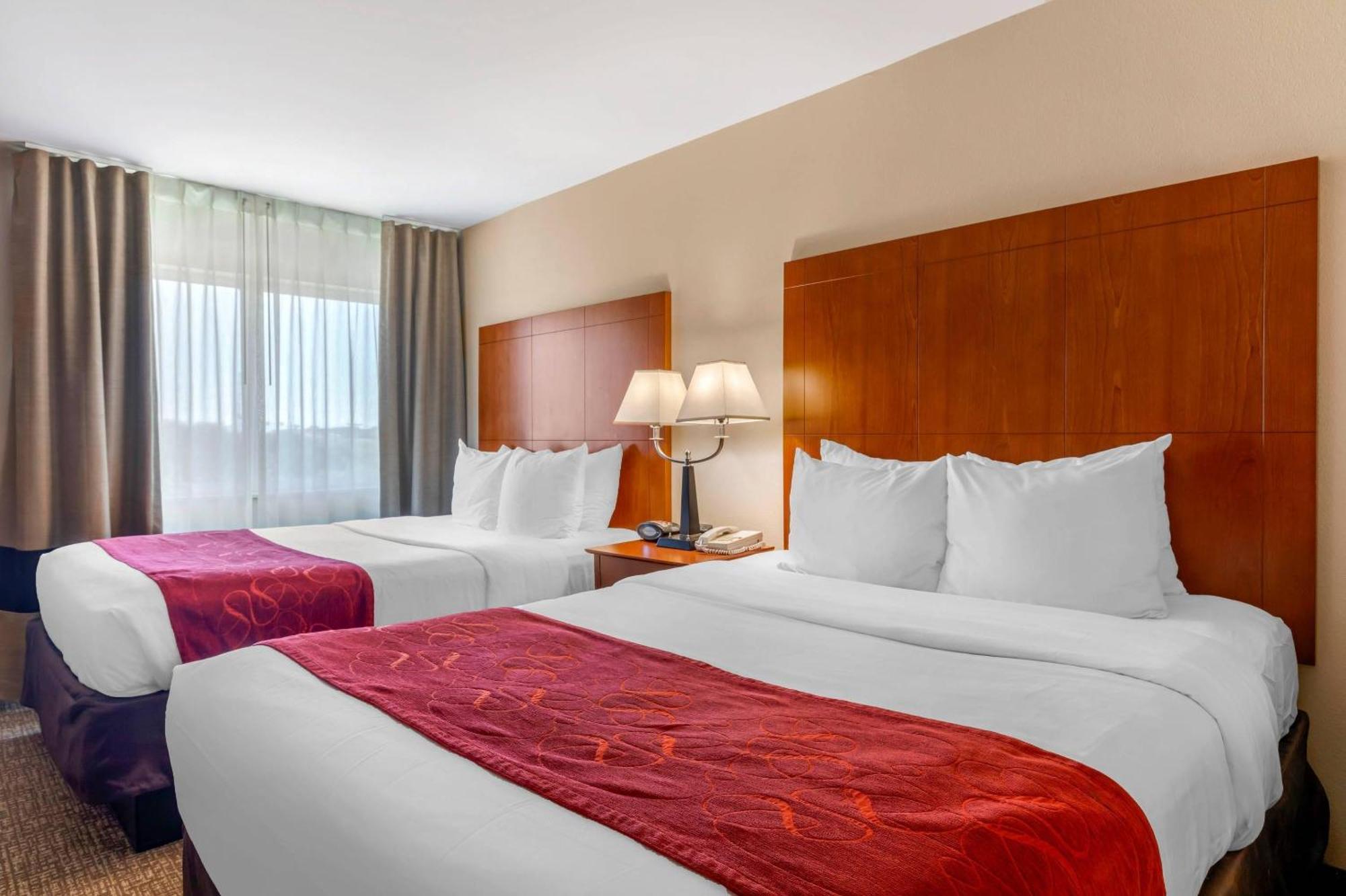 Suite con 2 camas grandes - No fumadores