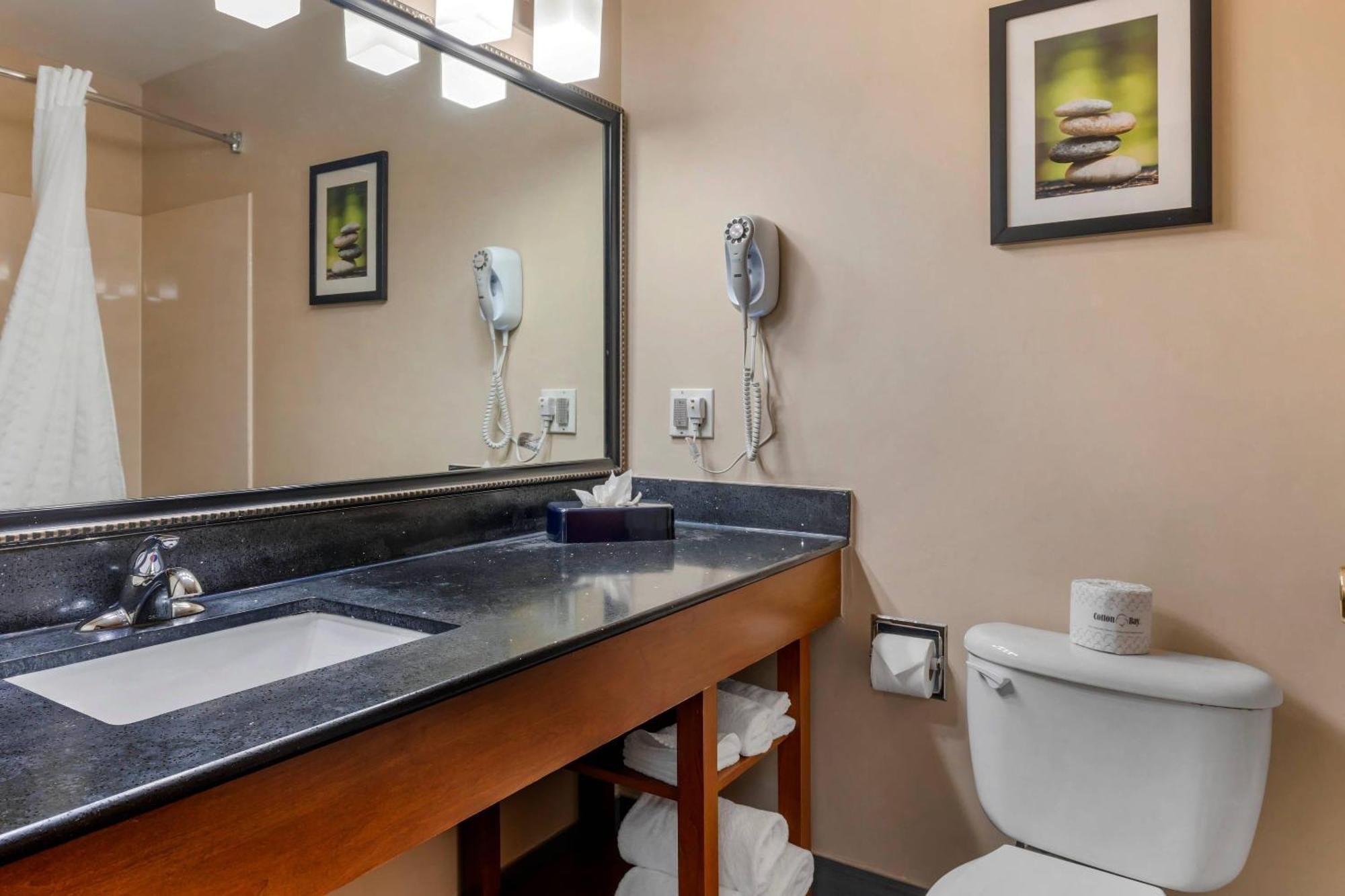 Suite Deluxe con cama grande - No fumadores