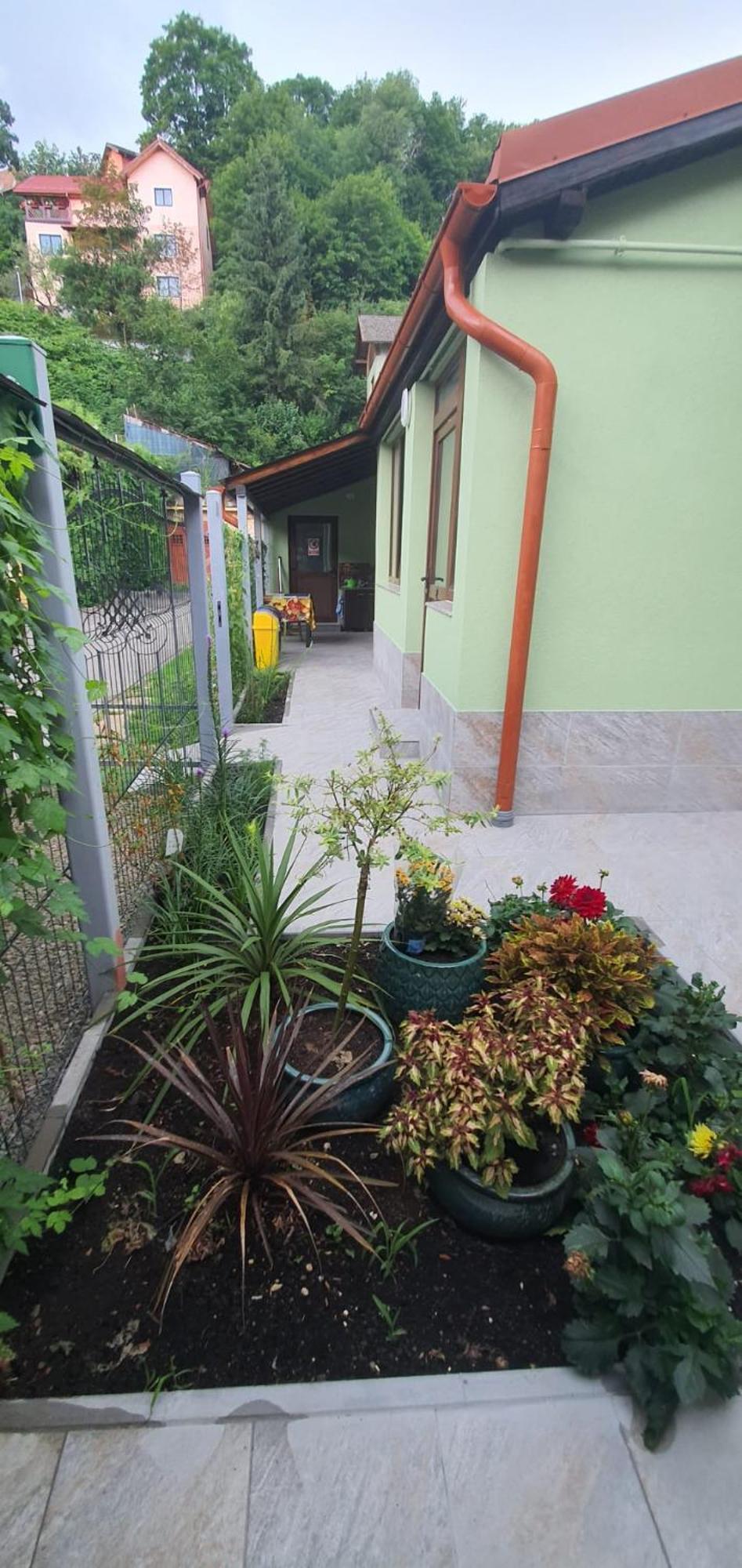 Double Room with Garden View