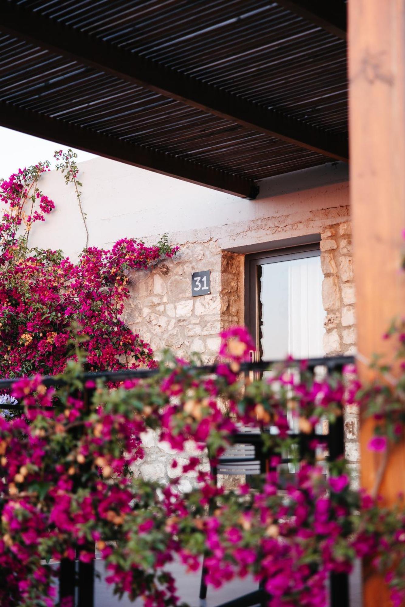 Bungalow Garden View