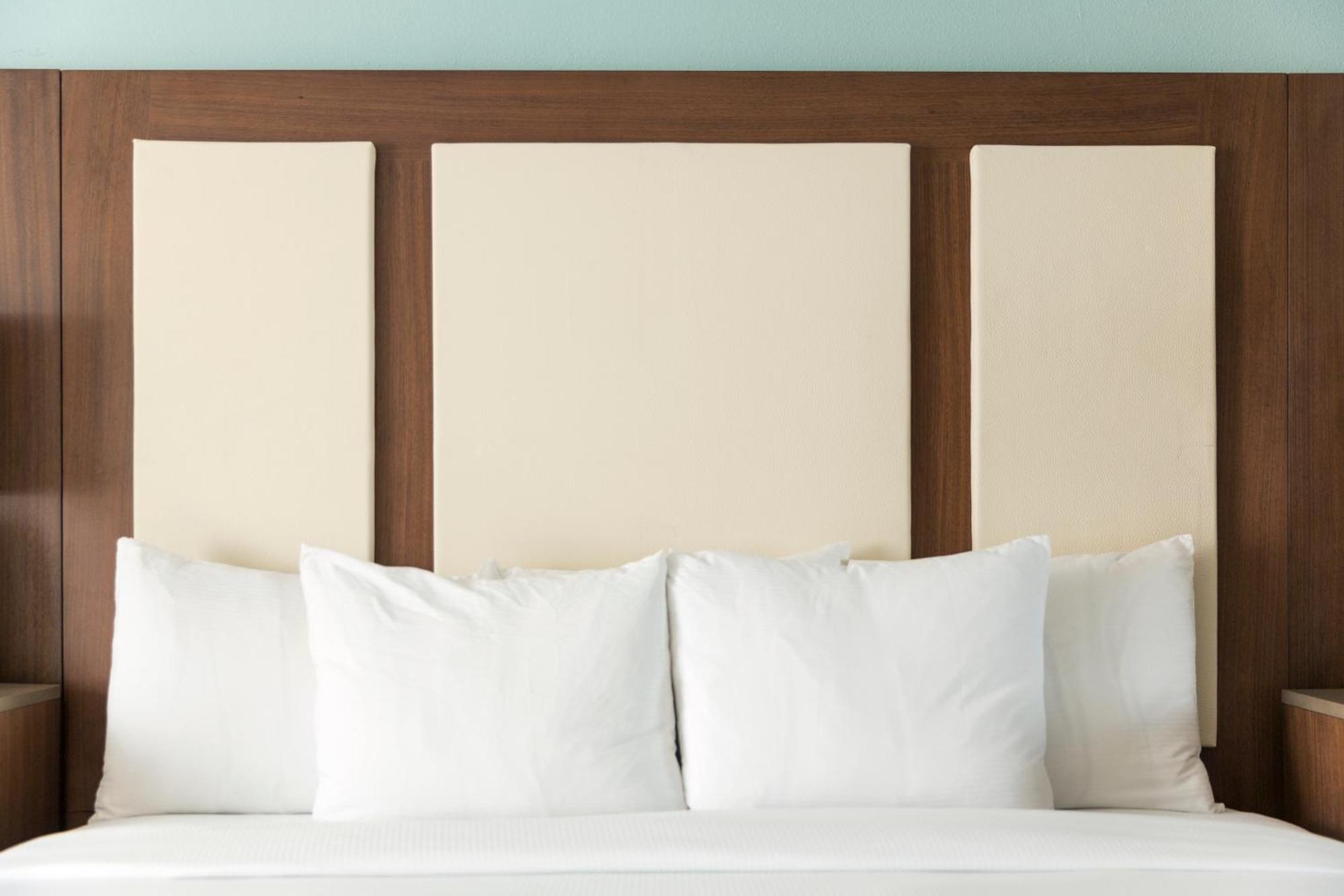 The Palm Suite