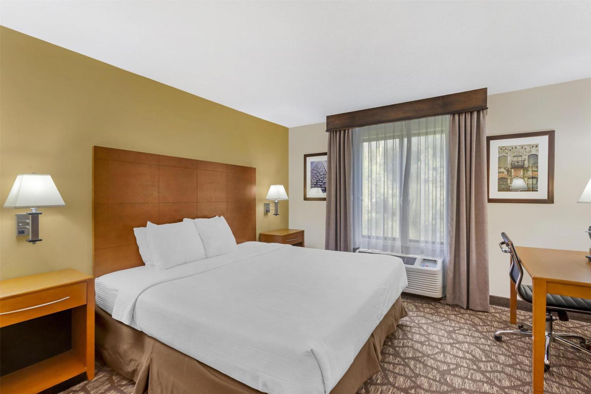 King Suite Disability Access or Non-Smoking