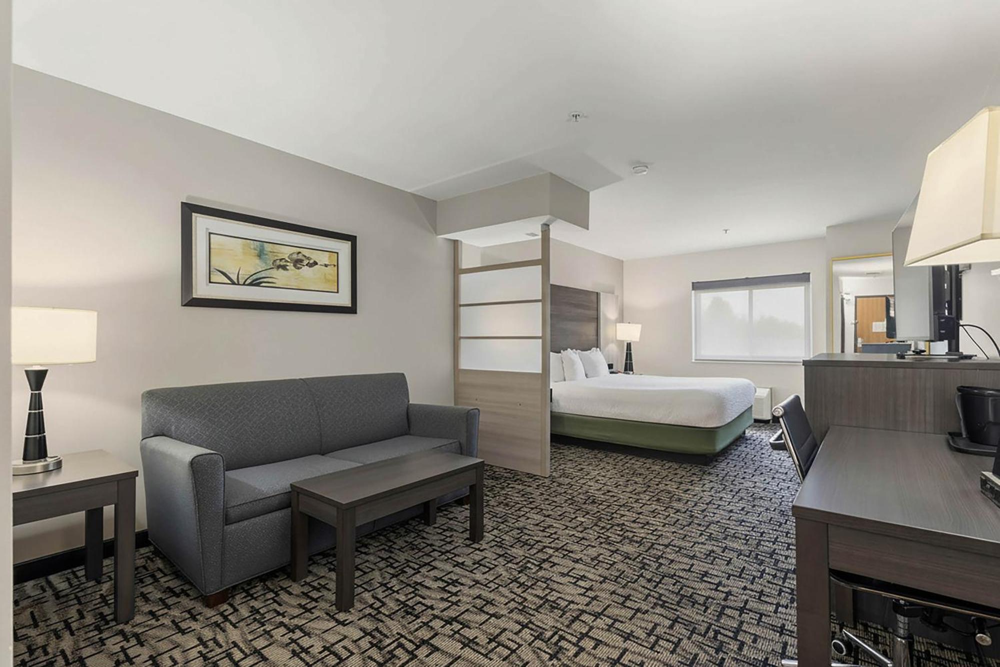King Suite with Sofa Bed - Non-Smoking
