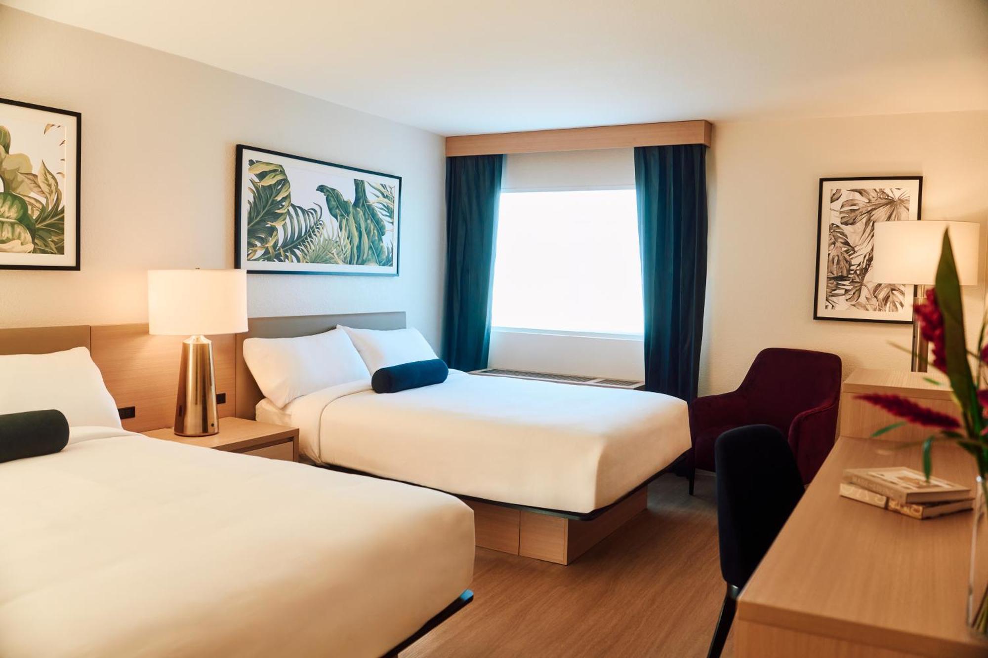 Superior Queen Room