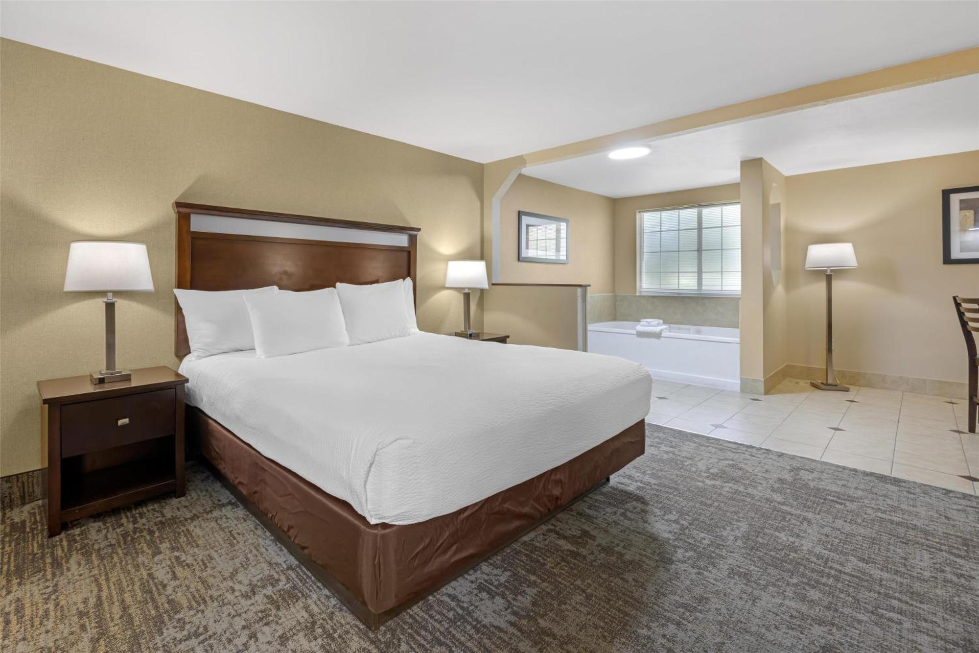 Presidential King Suite with Sofa Bed and Jetted Tub - Non-Smoking