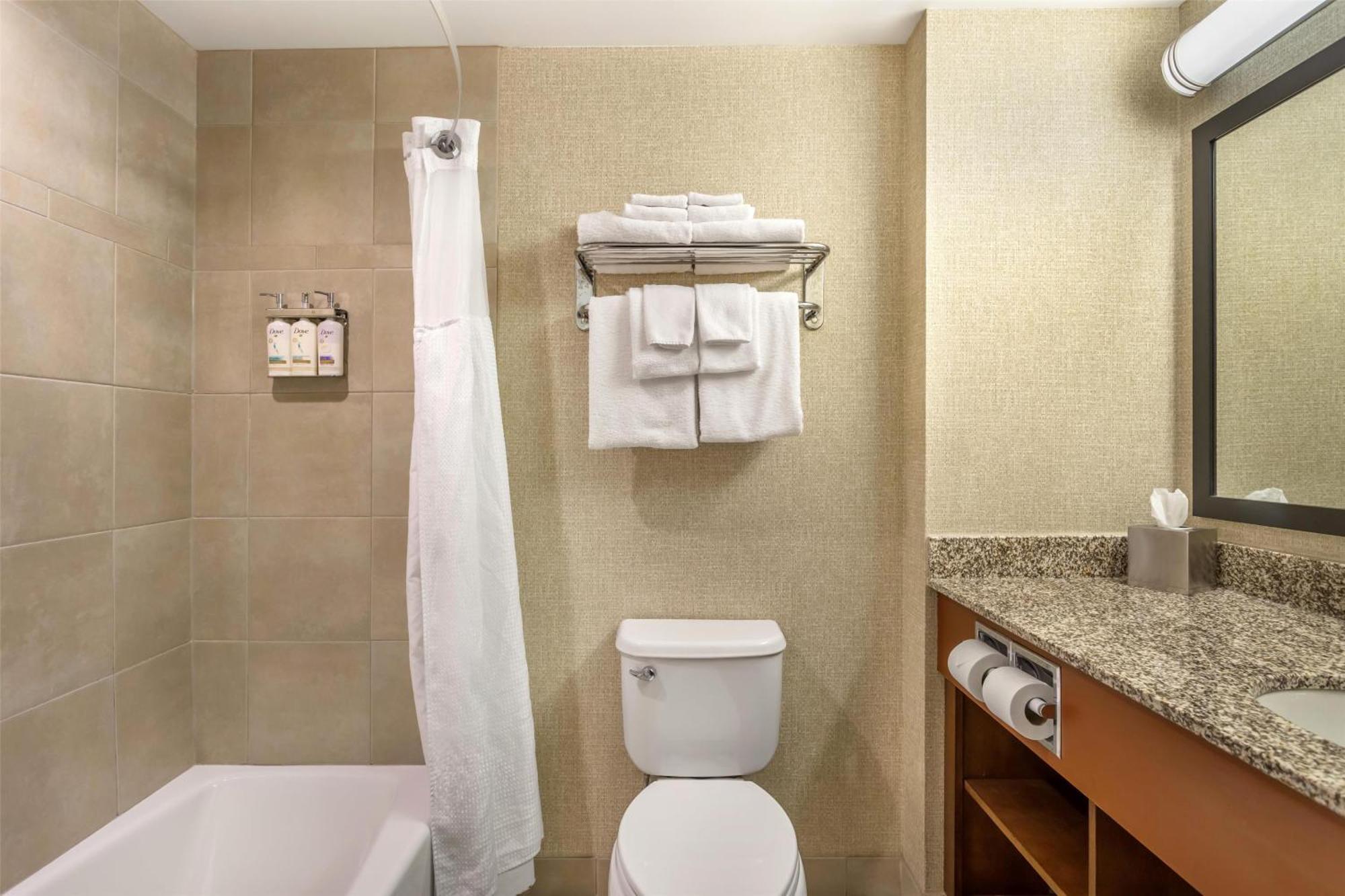 Executive One-Bedroom King Suite with Sofa Bed - Non-Smoking