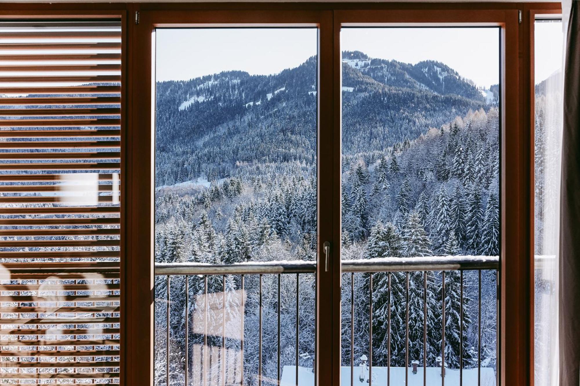 Double Room Mountain View