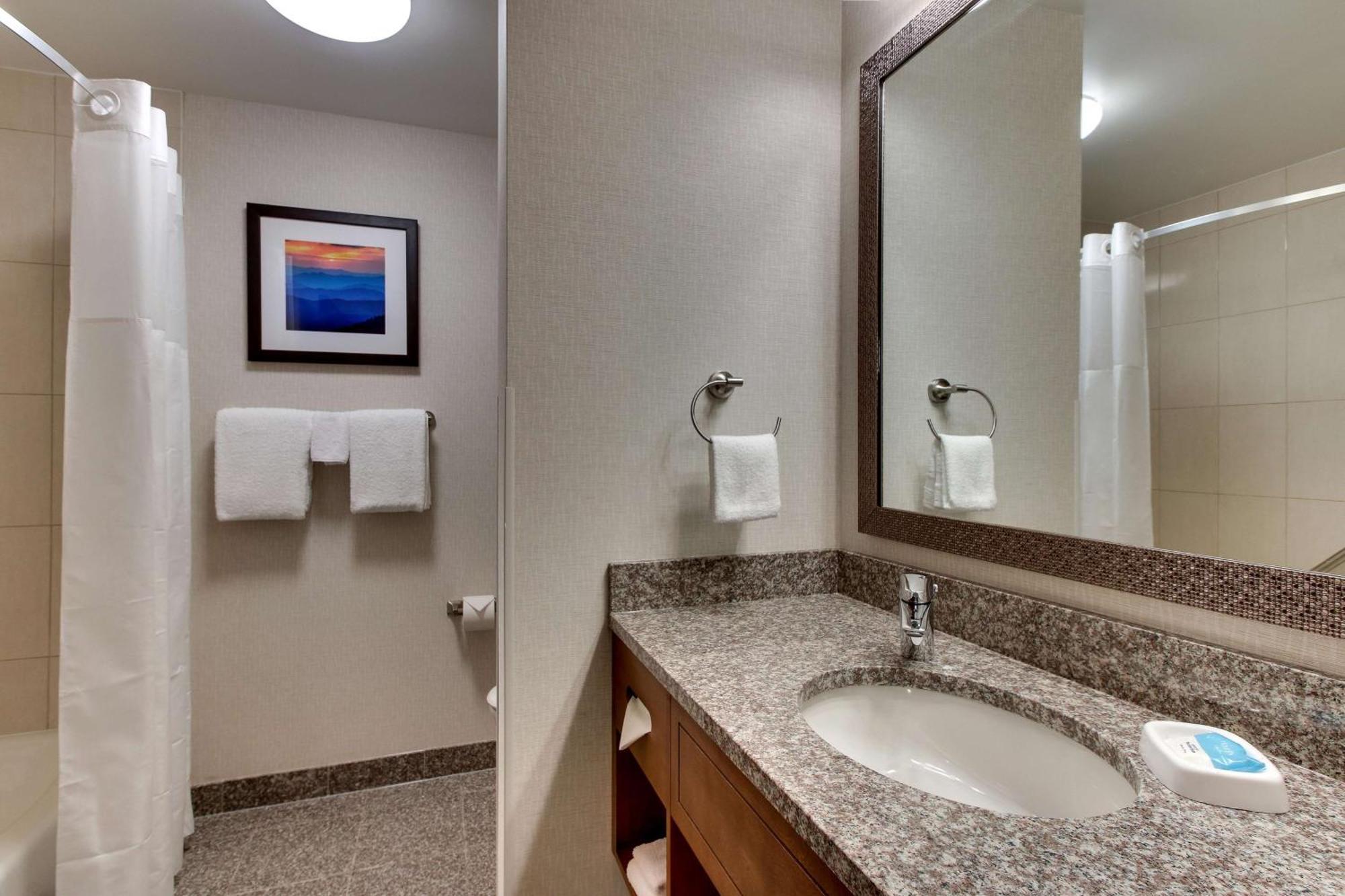 Deluxe King Suite