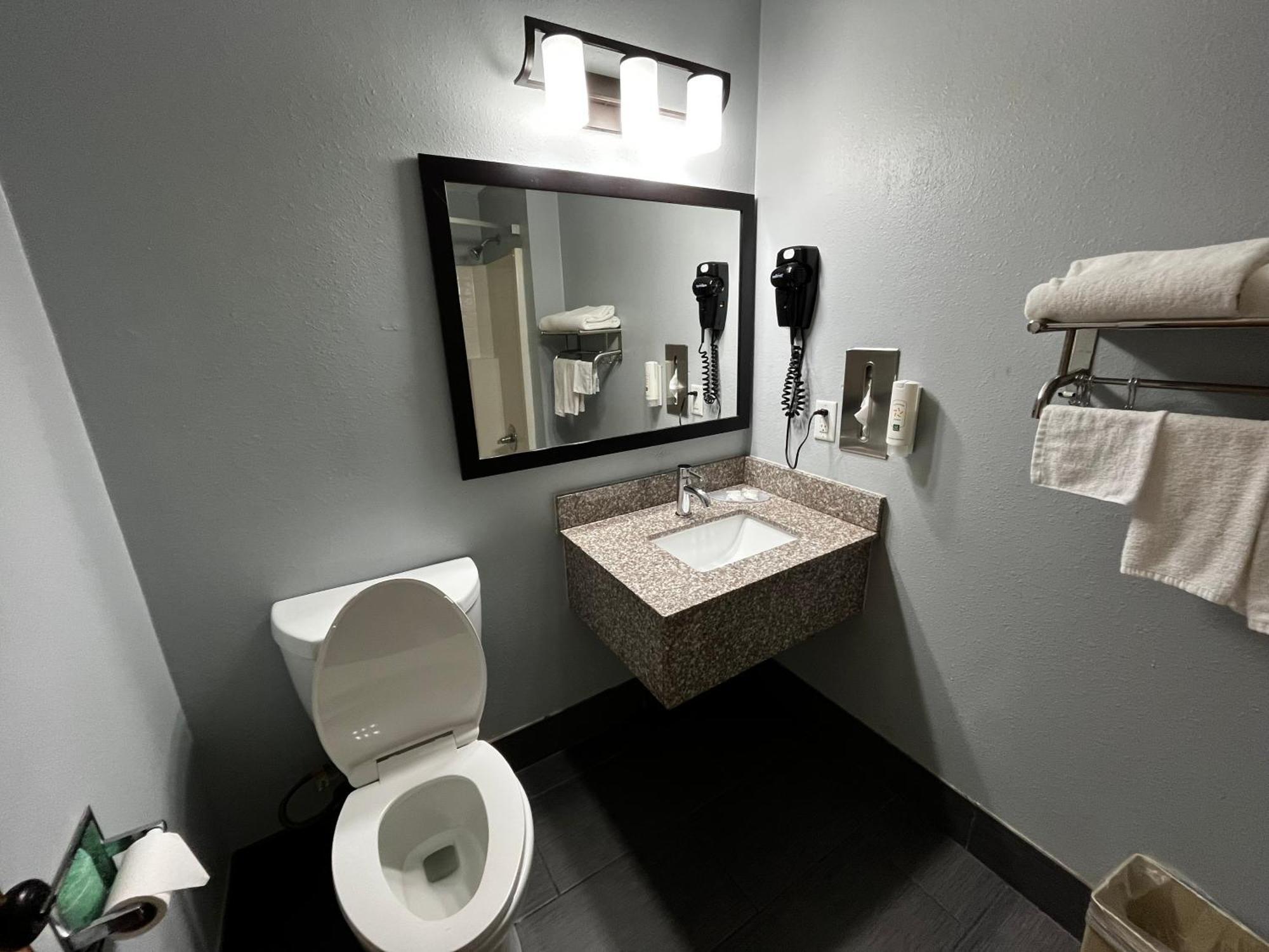 King Room Roll Shower Disability Access or Non Smoking