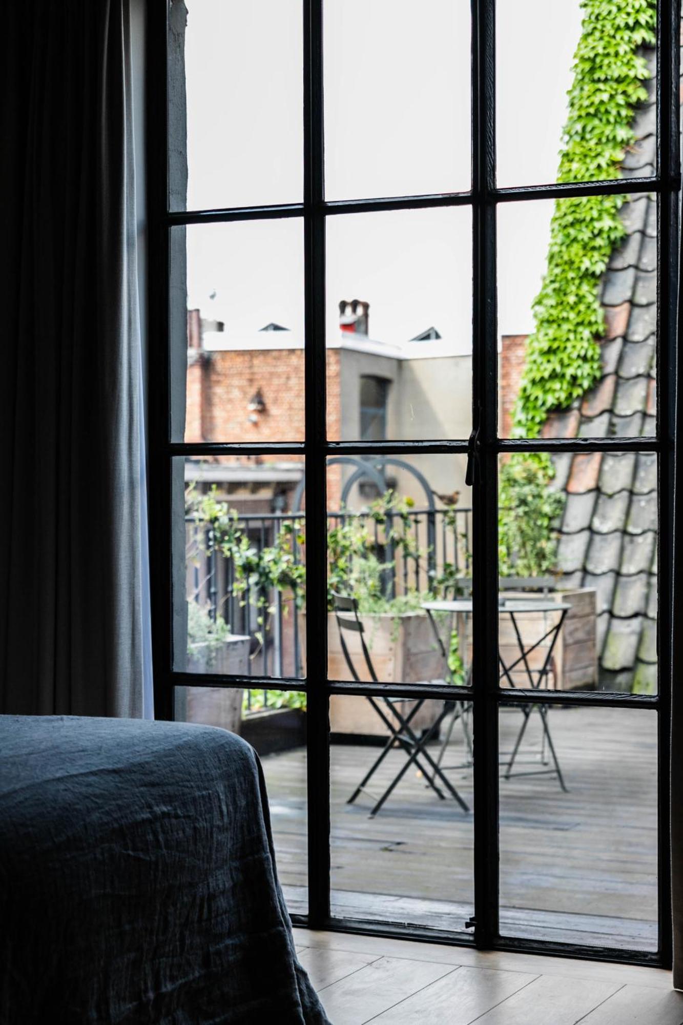 Junior Suite Terrace