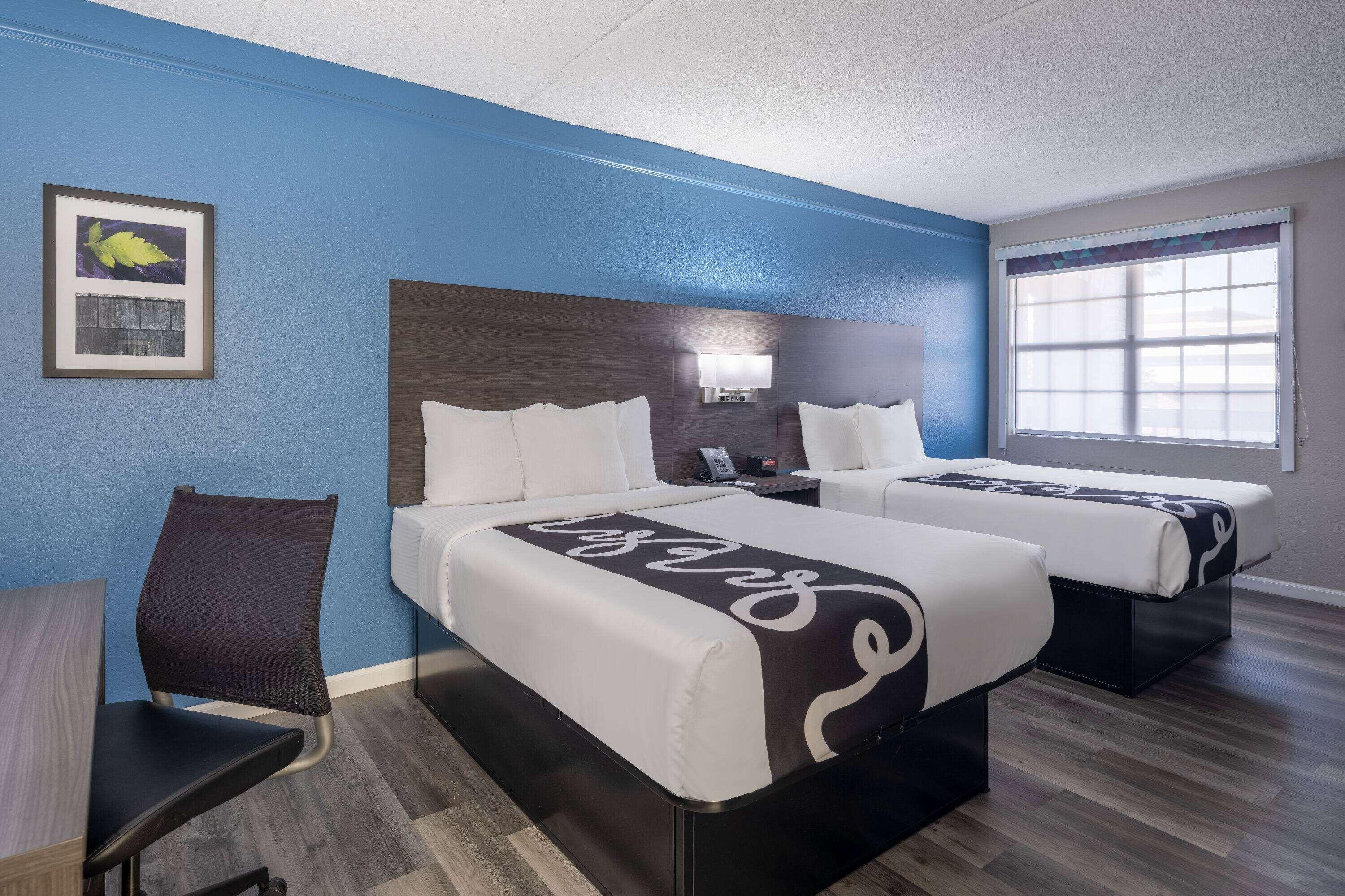 Double Room Two Double Beds