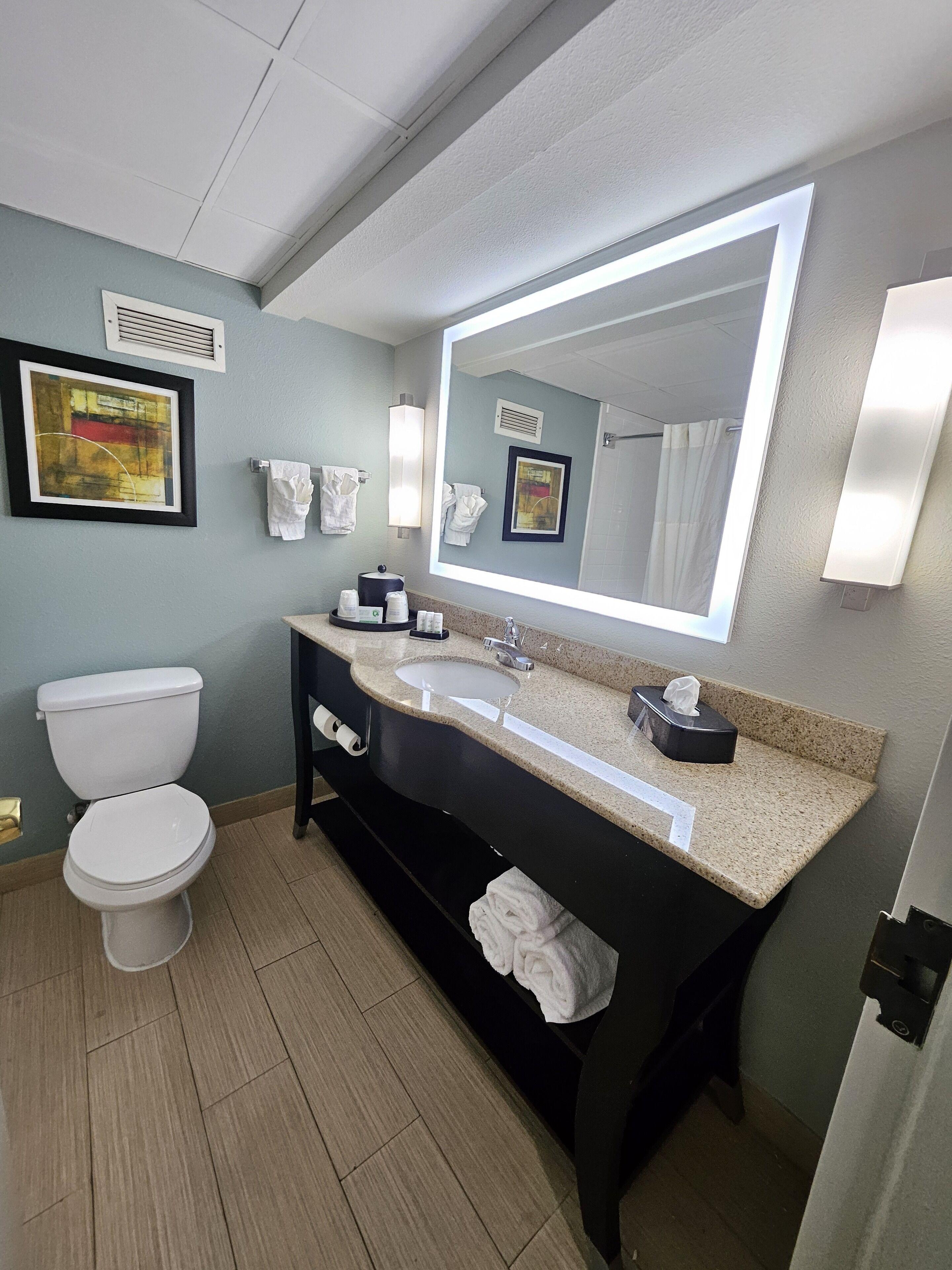 King Suite Mobility Access Bathtub Grab Bars Non-Smoking