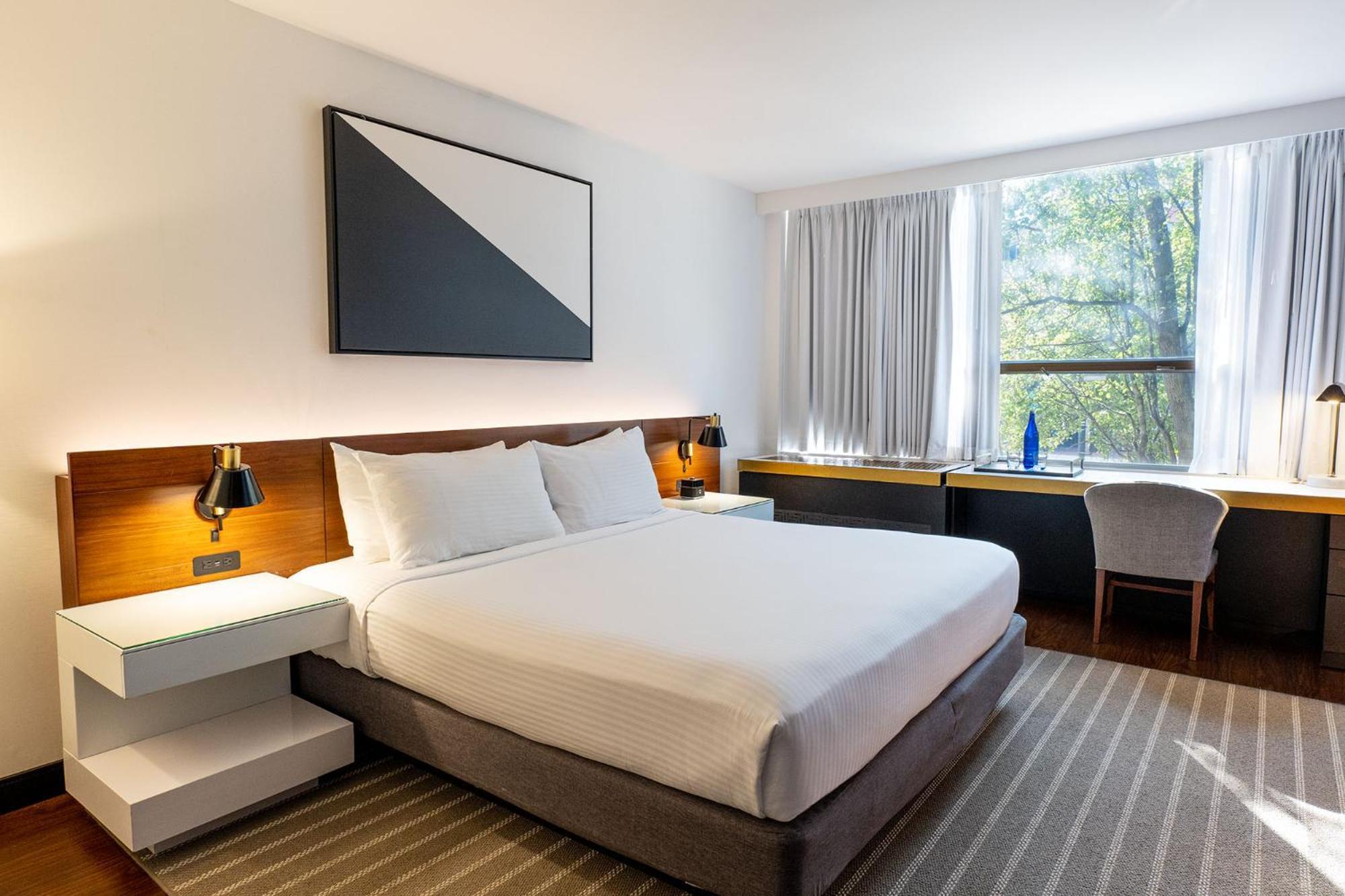 Estudio con cama extragrande