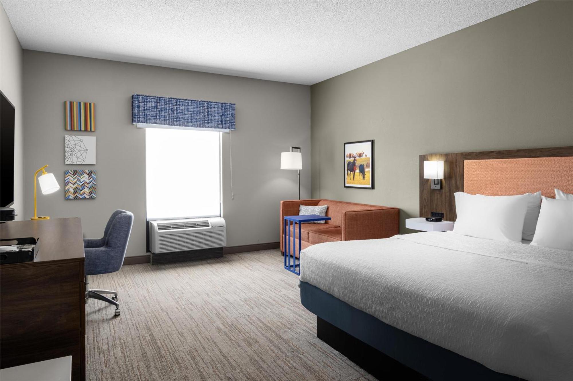 King Studio Suite with Sofa Bed - Non-Smoking