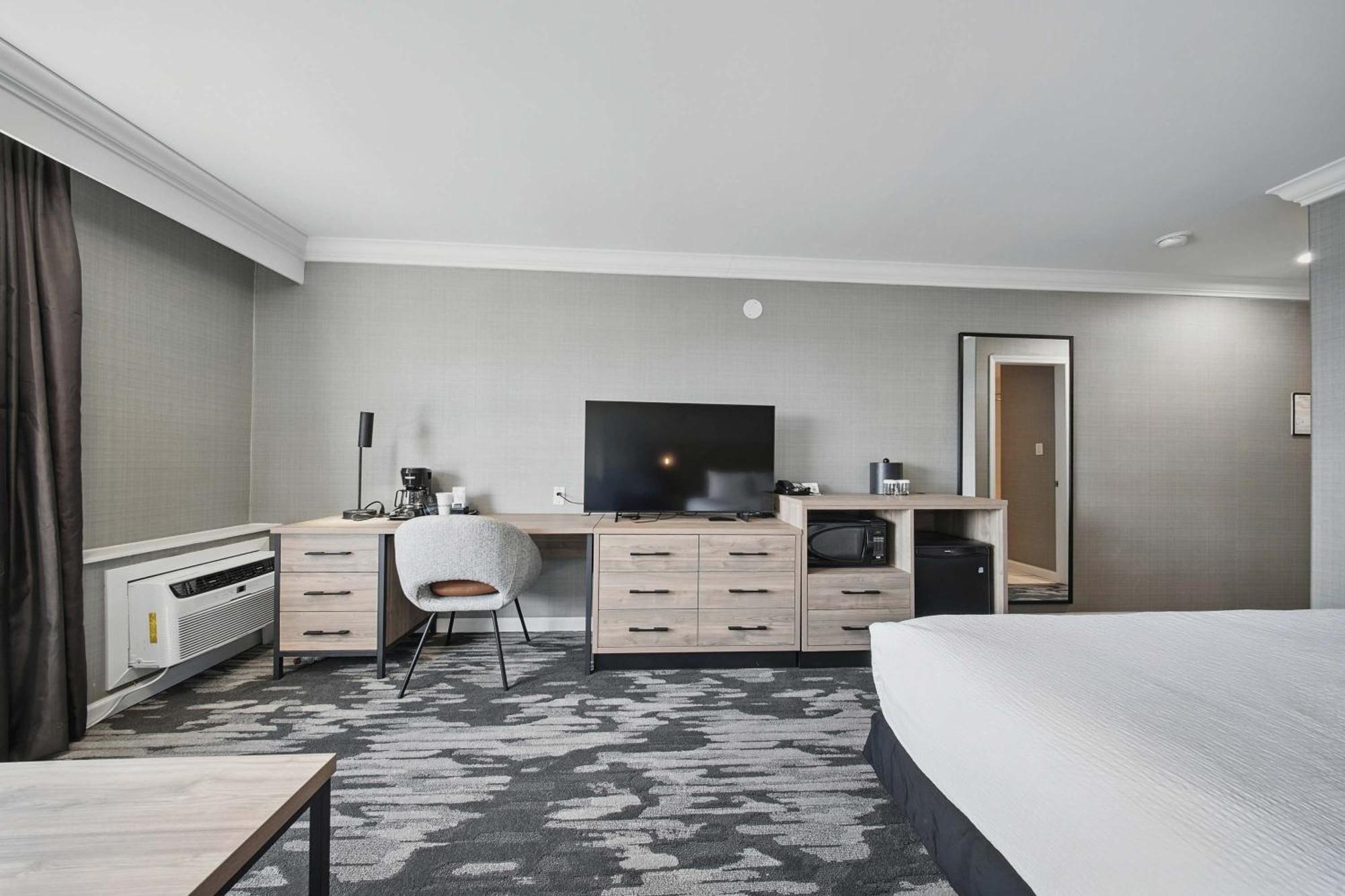 Standard Room, 1 King Bed, Sofa Bed