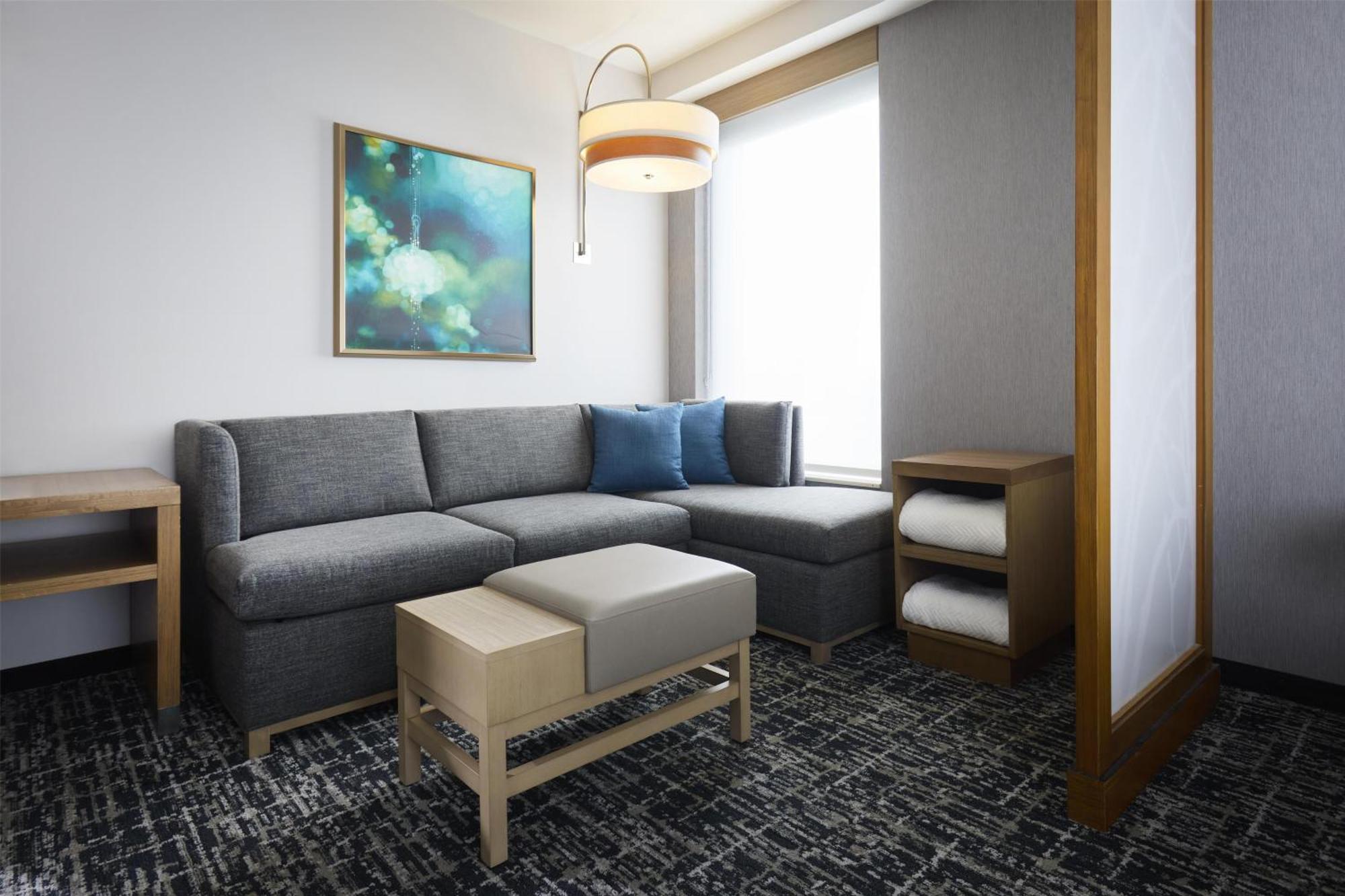 King Room with Sofa Bed and Roll-In Shower - Disability Access