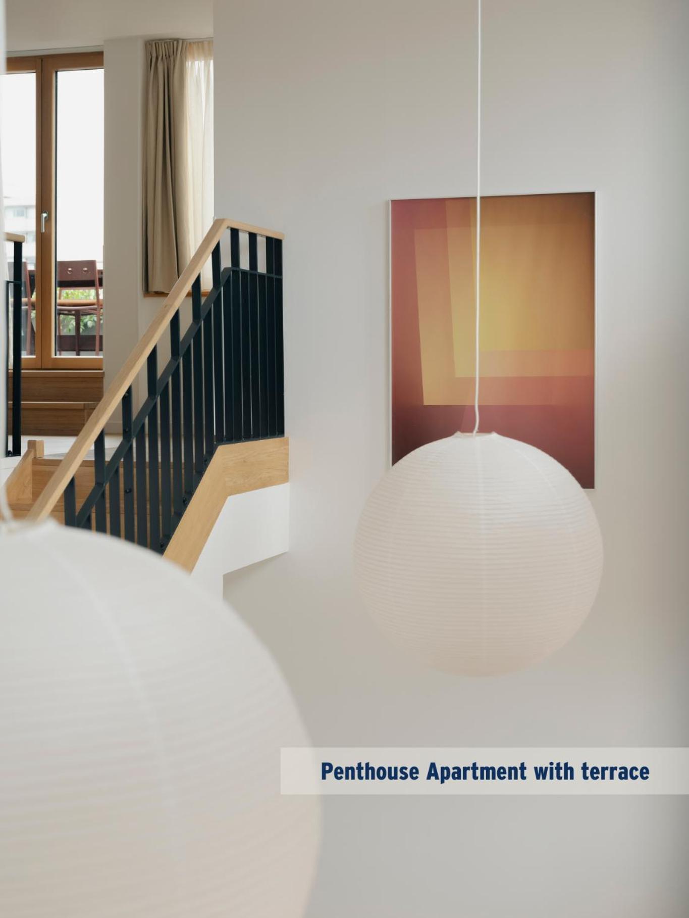 Penthouse Apartment Terrace