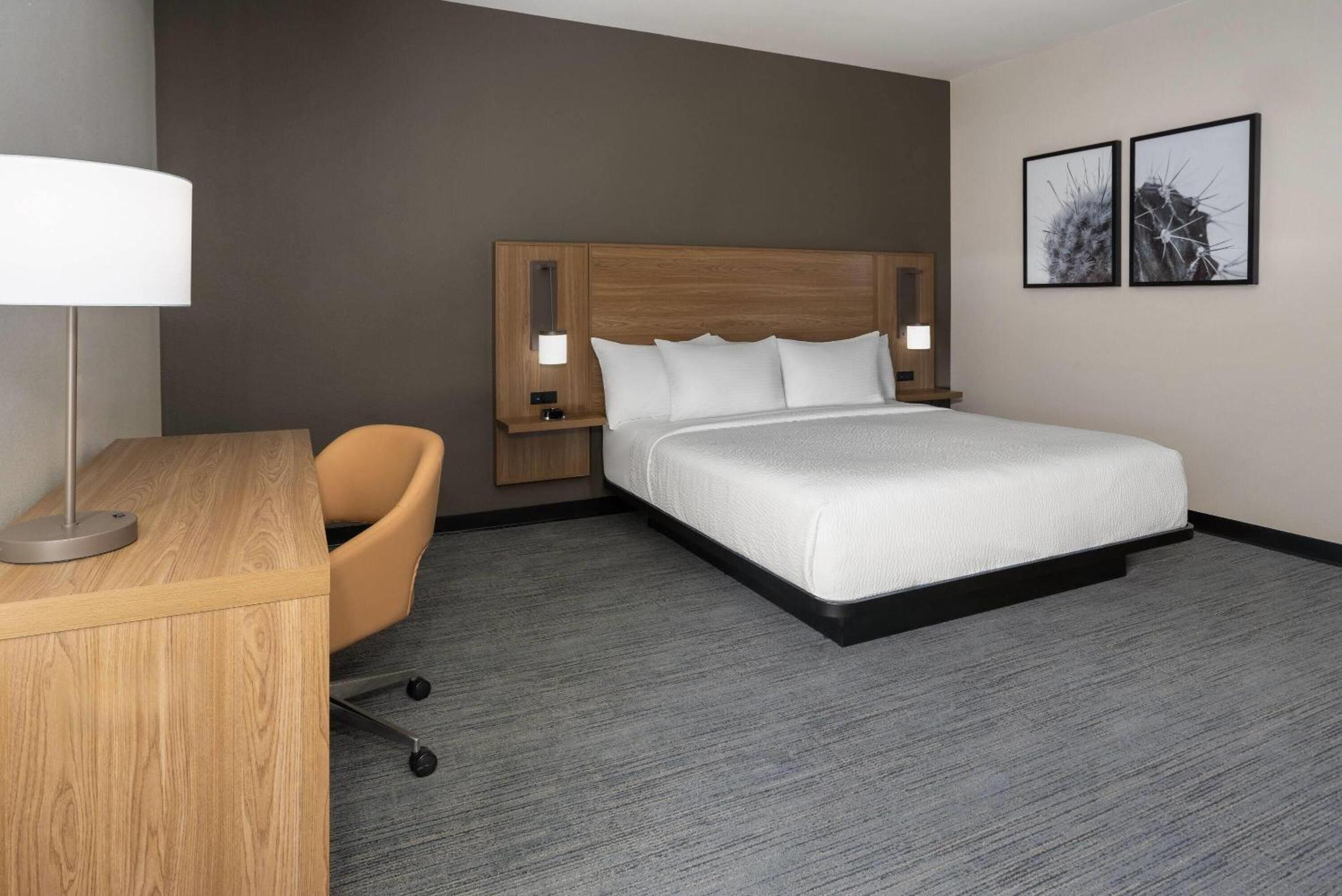 Deluxe King Room Roll Shower Mobility Access or Non-Smoking