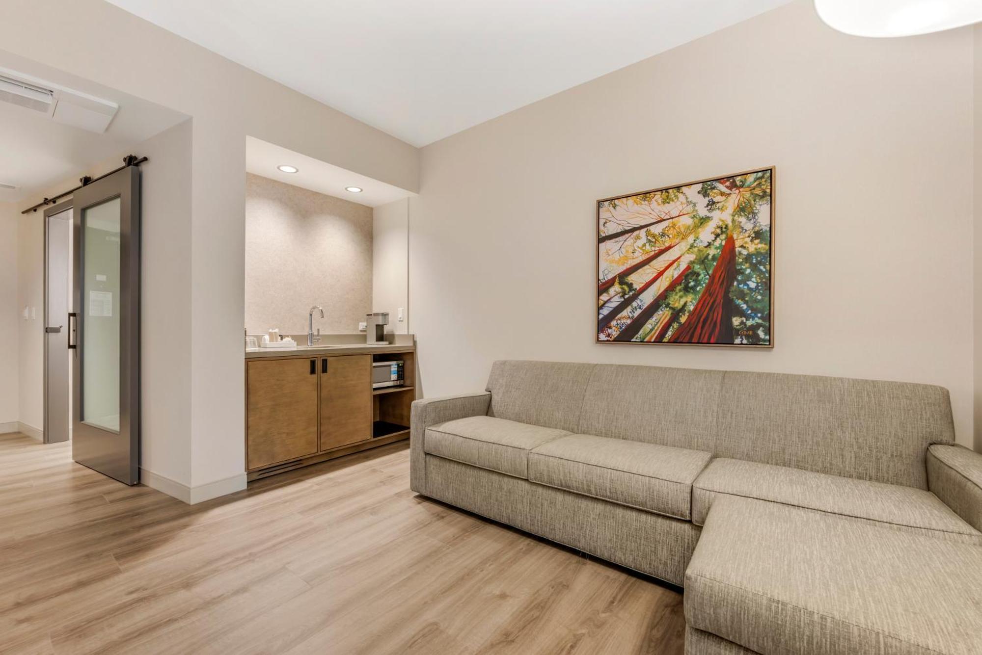 King Suite 2-person Sofabed