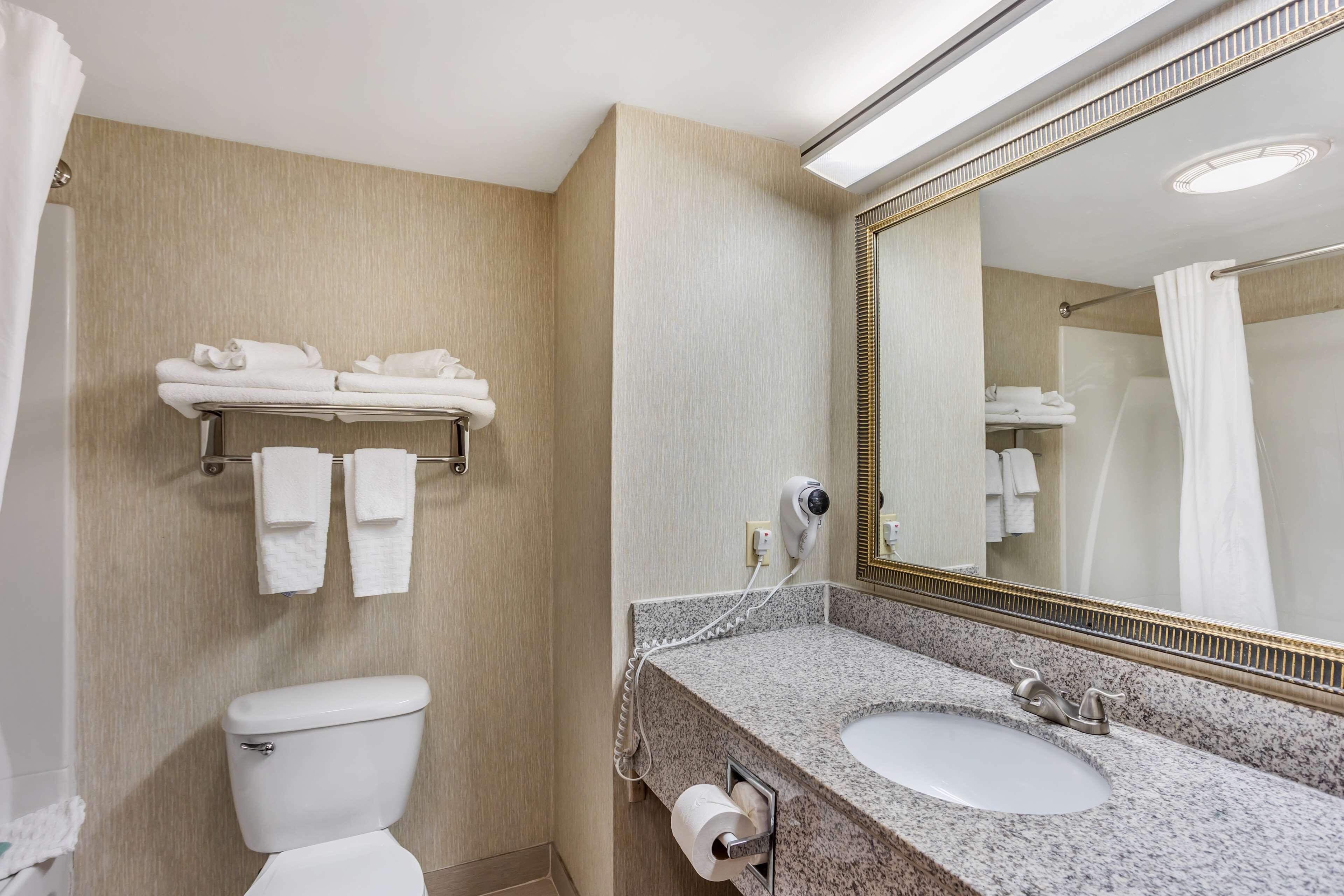 Double Room Two Double Beds