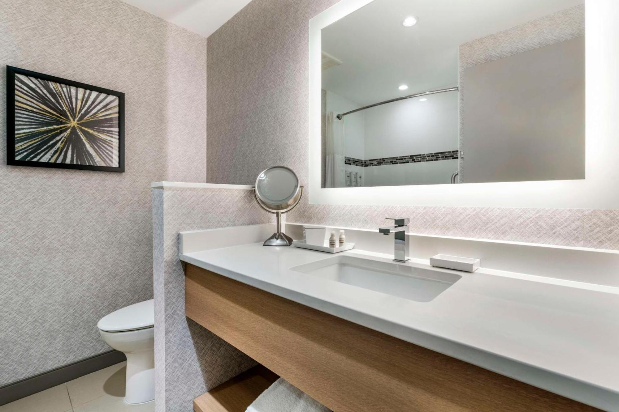 King Suite with Sofa Bed and Kitchenette