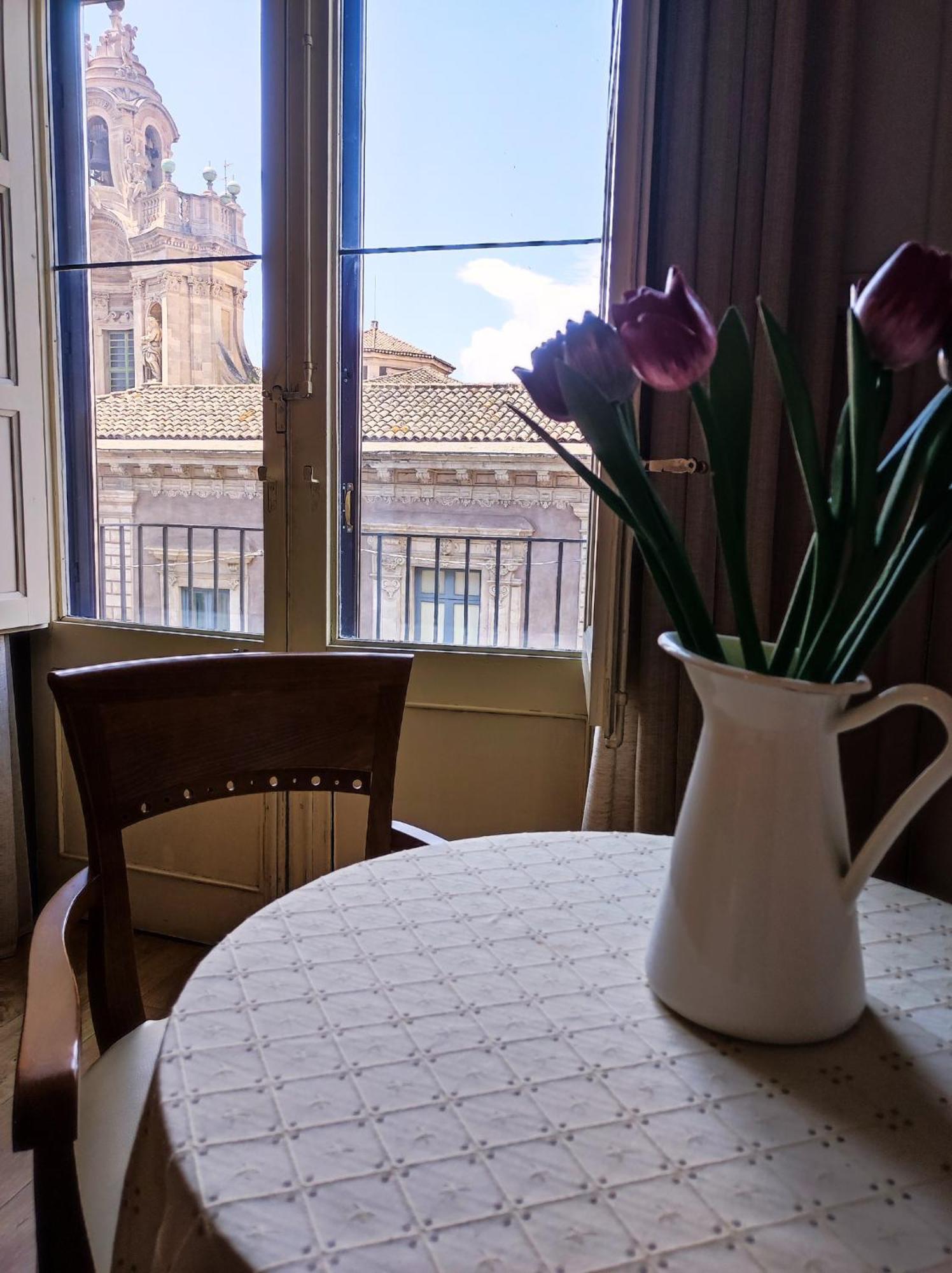 Superior Double Room with City View
