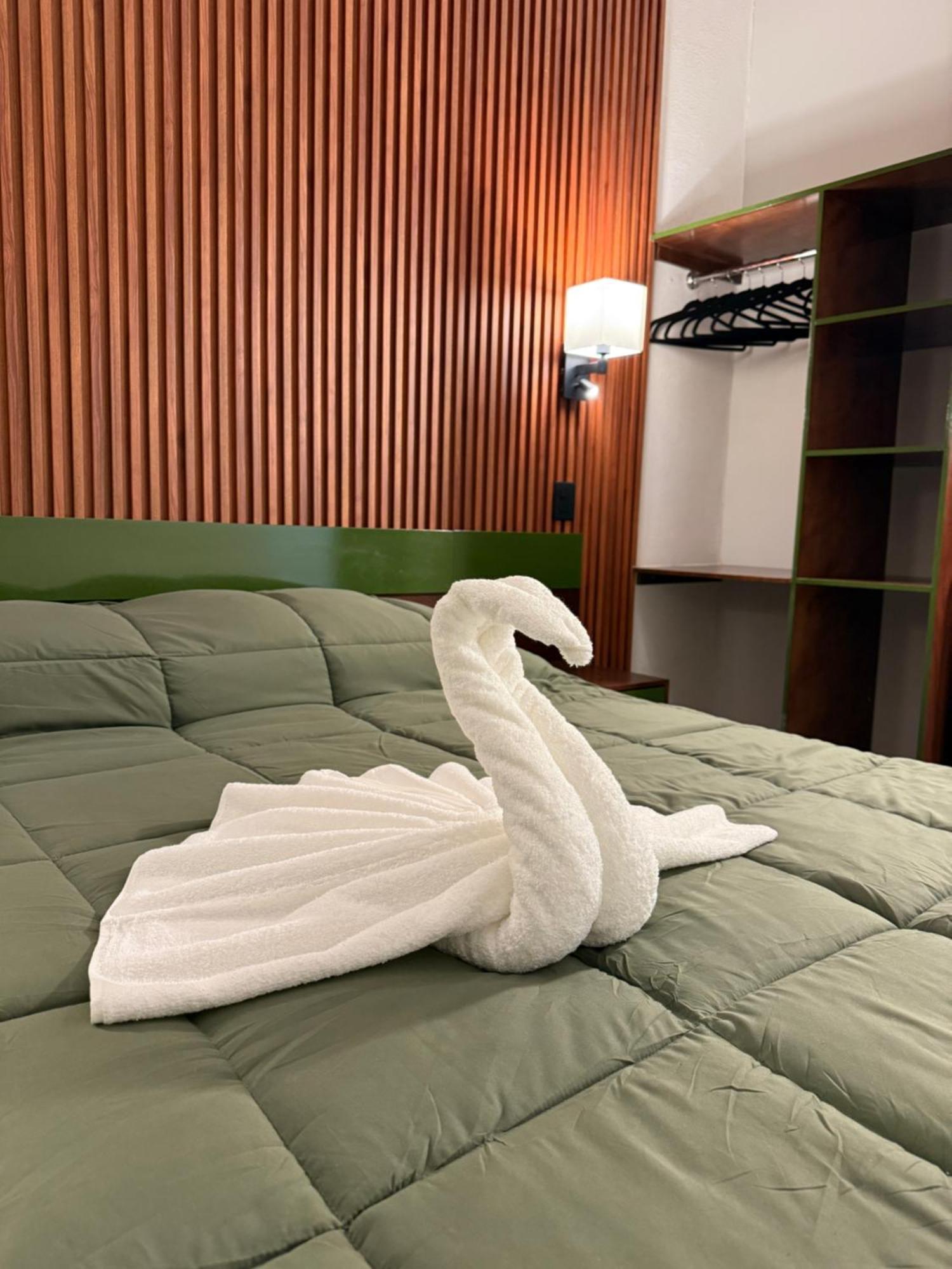 Suite con cama extragrande