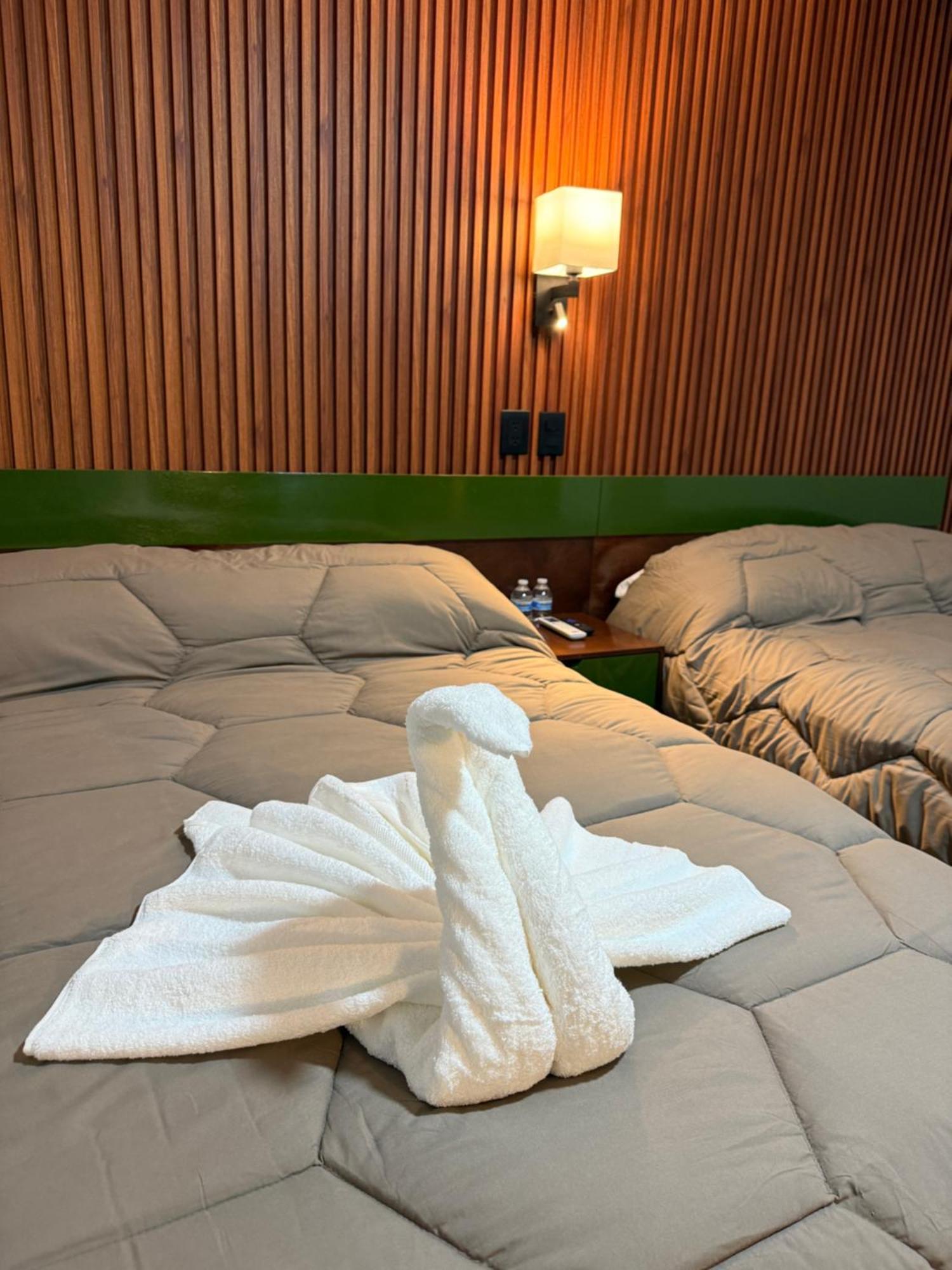 Habitación Doble Estándar
