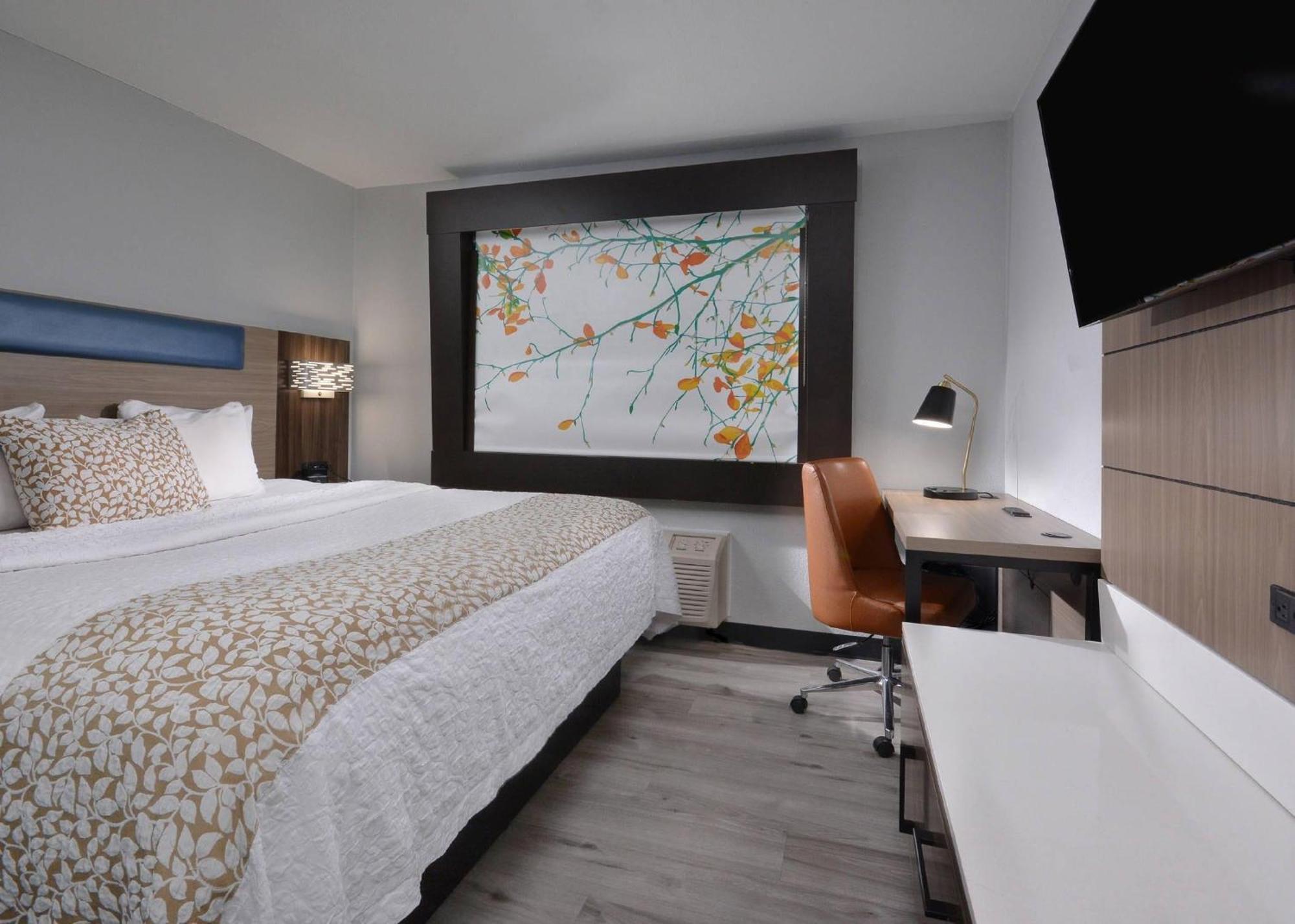 Kamer met Kingsize Bed - Rookvrij