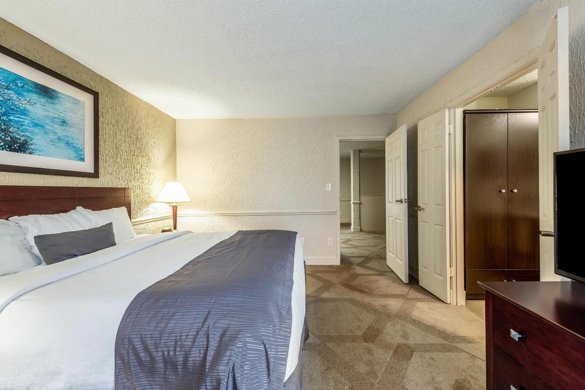 Deluxe King Suite - Non-Smoking