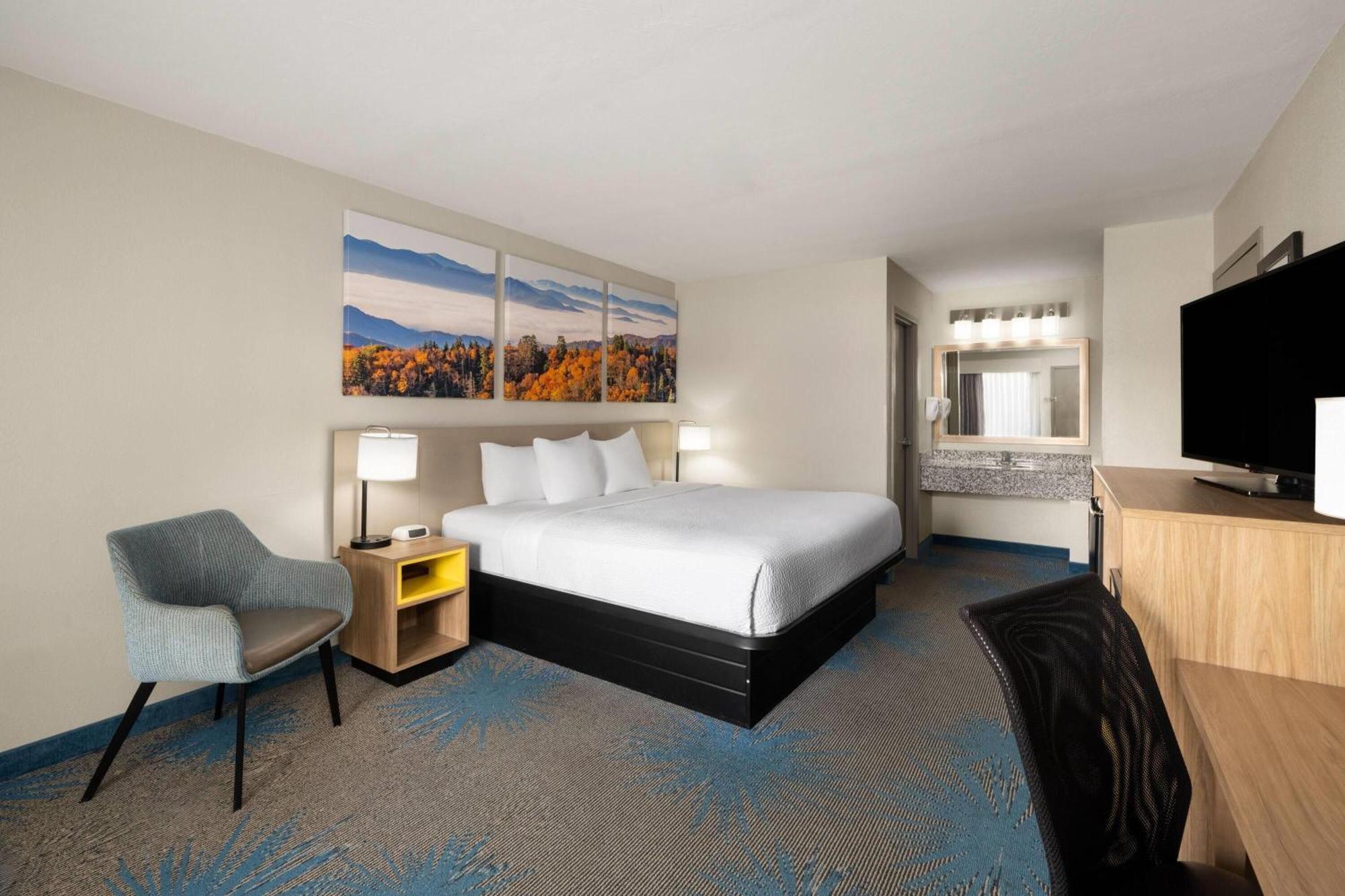 King Room Pet Friendly or Smoking